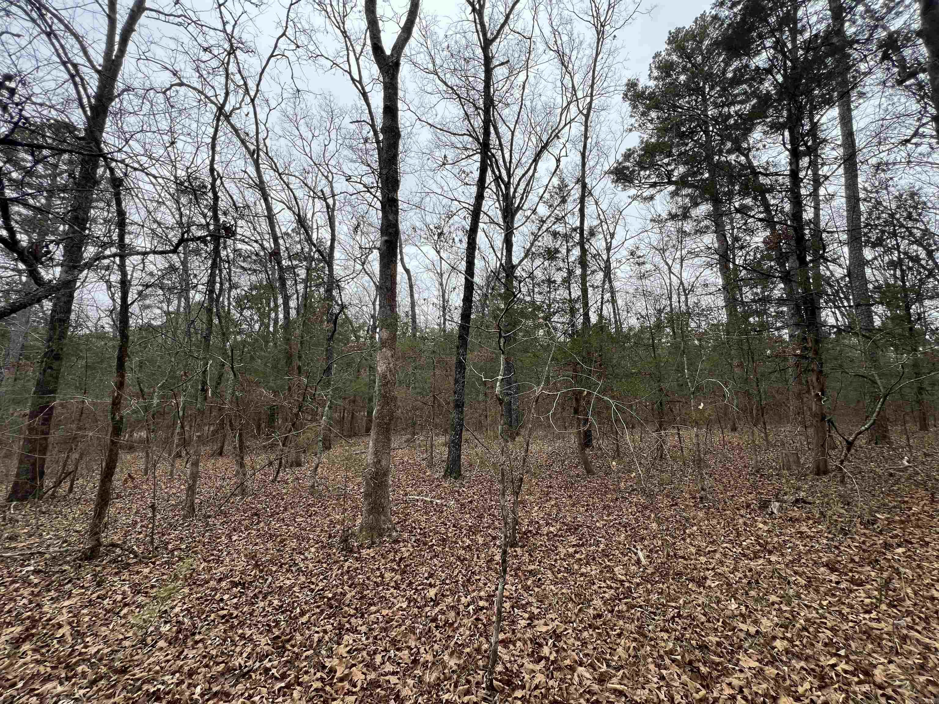 433 Cody Dr  Clinton, AR