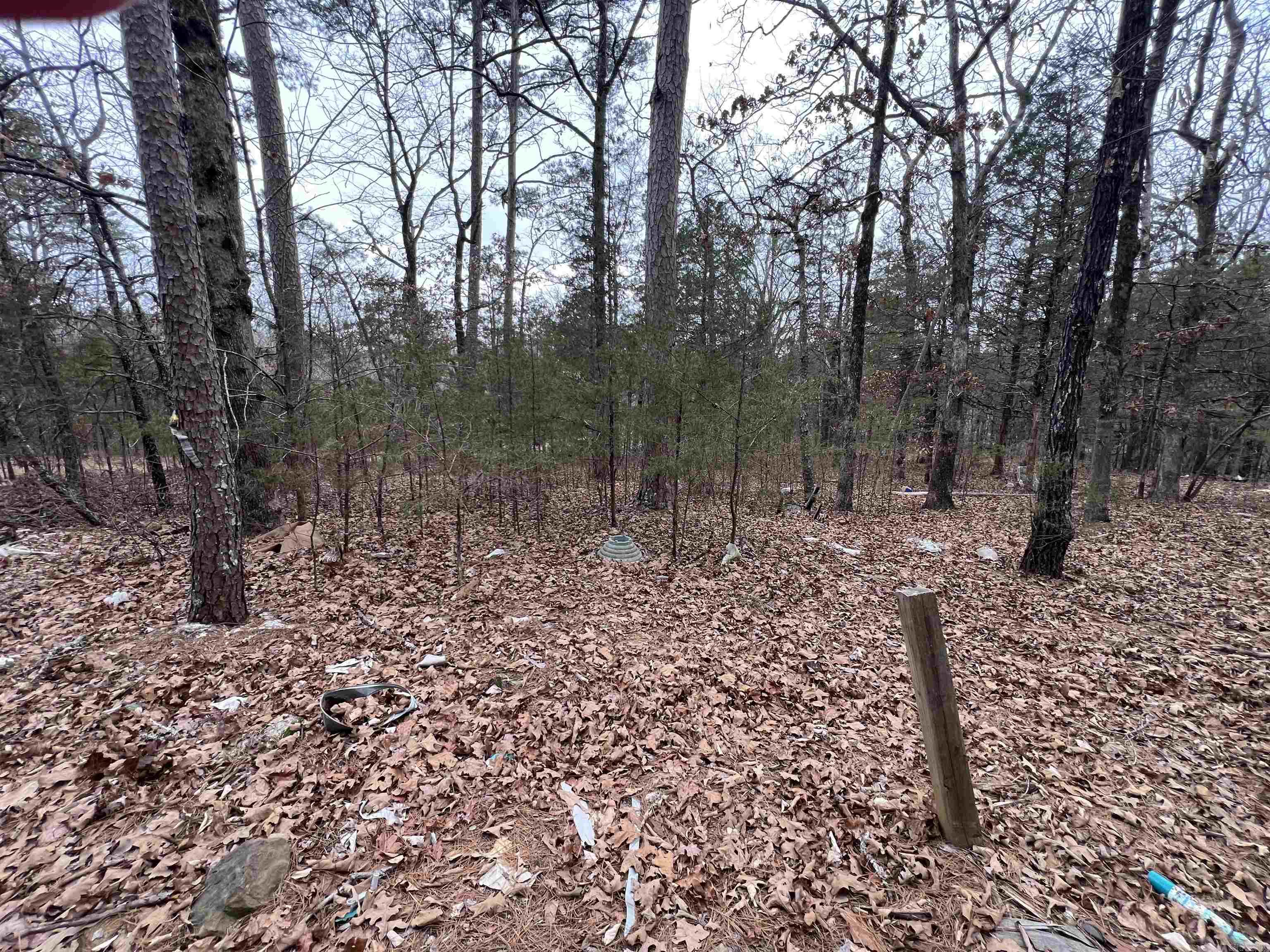 433 Cody Dr  Clinton, AR