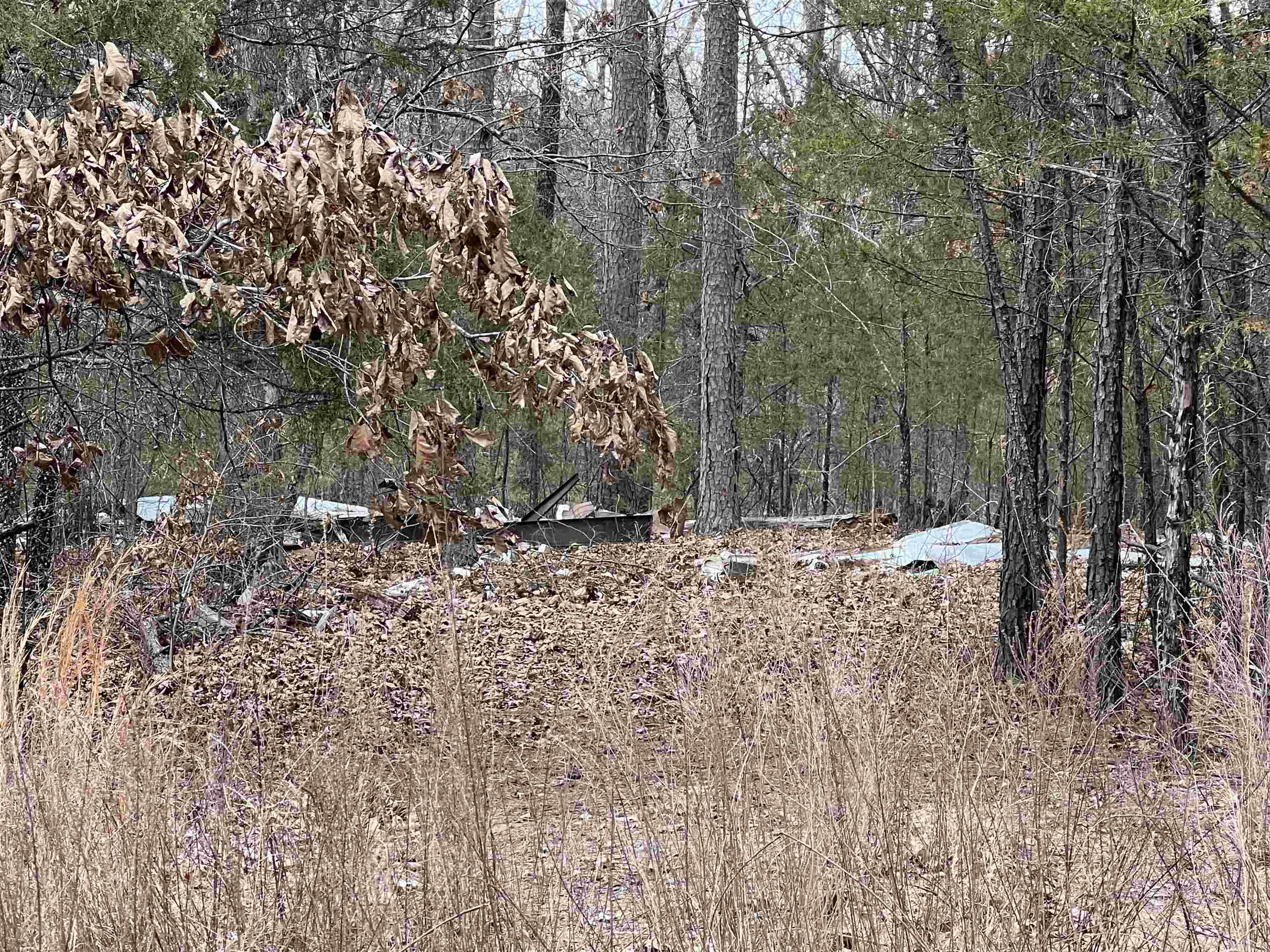 433 Cody Dr  Clinton, AR