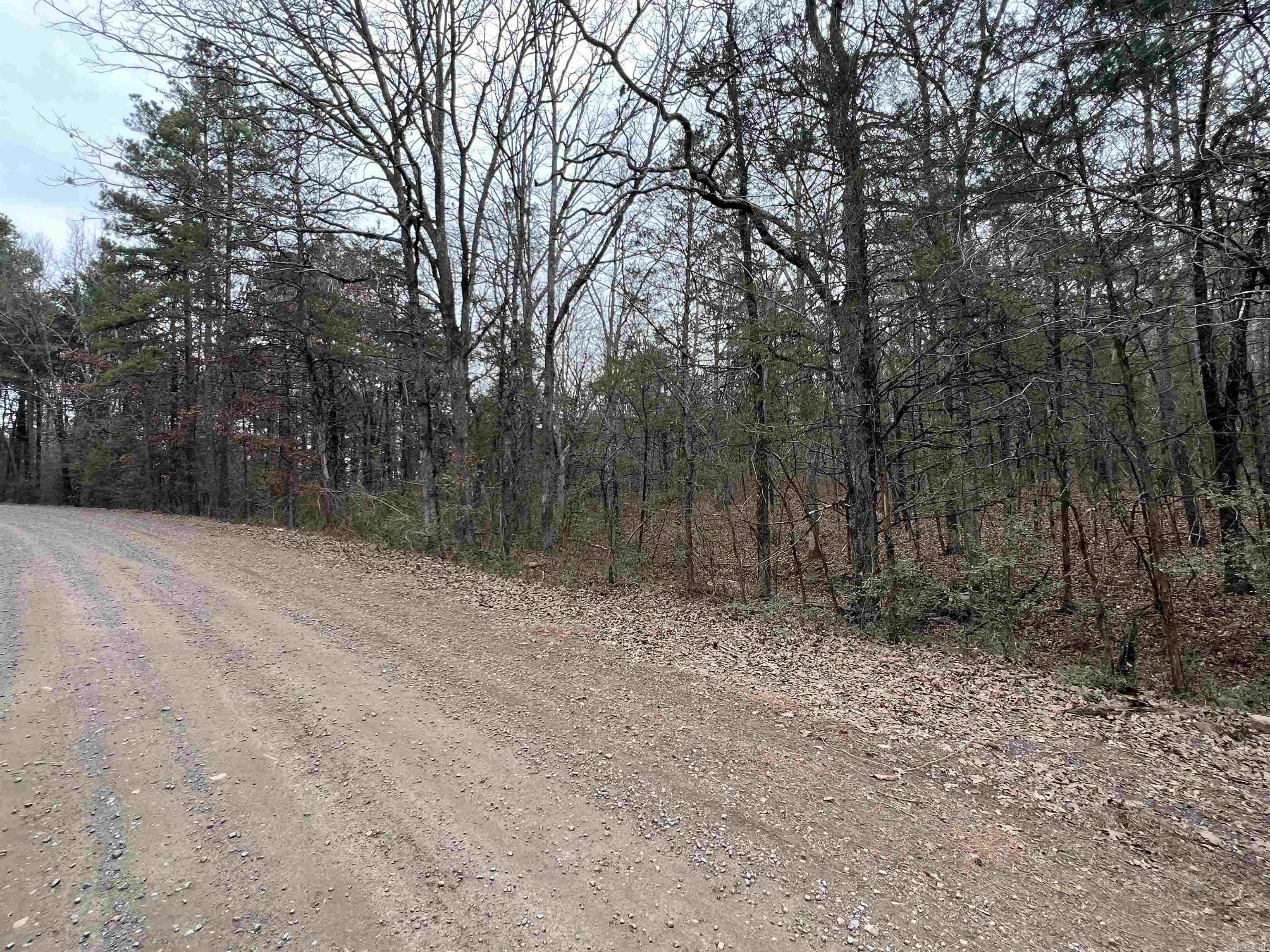 433 Cody Dr  Clinton, AR