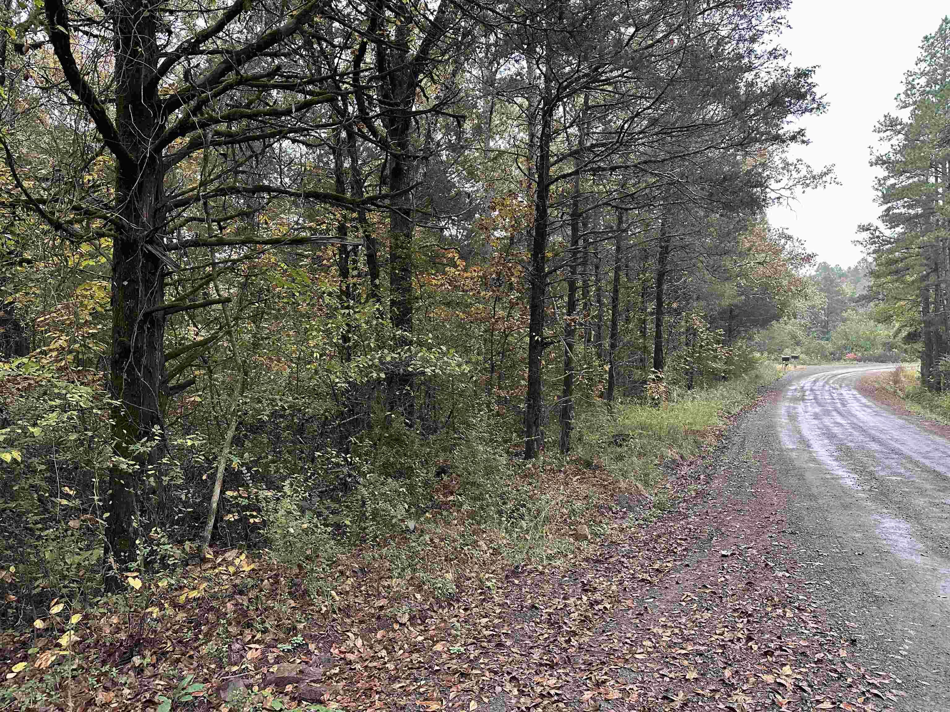 433 Cody Dr  Clinton, AR