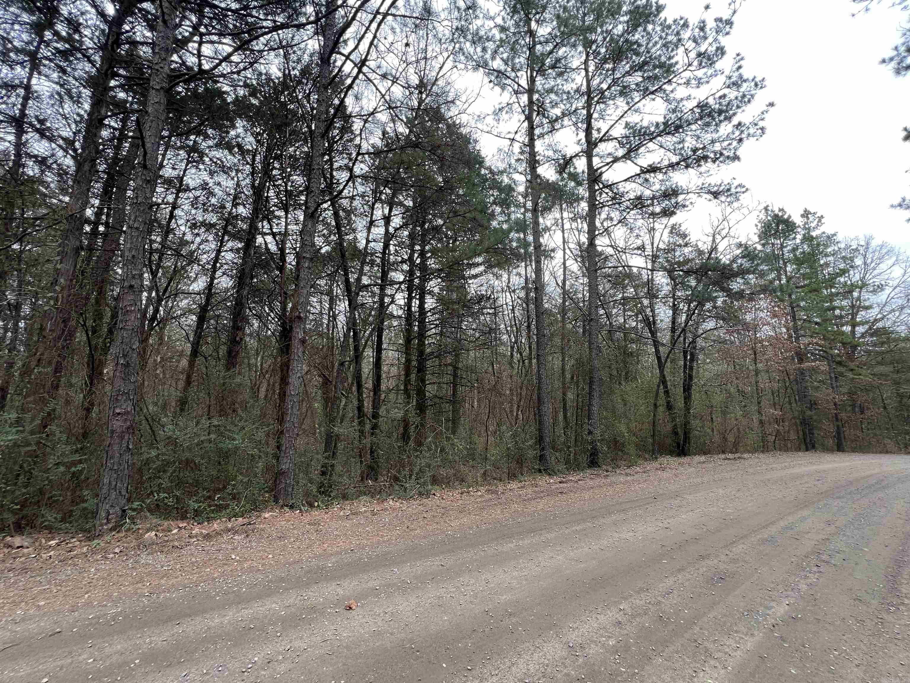 433 Cody Dr  Clinton, AR