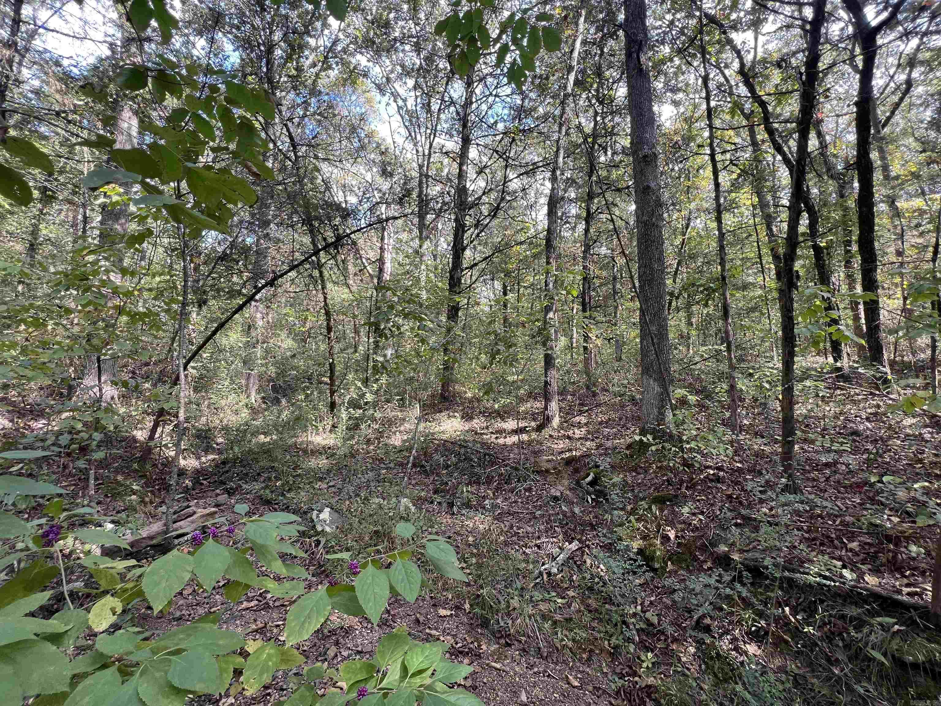 433 Cody Dr  Clinton, AR