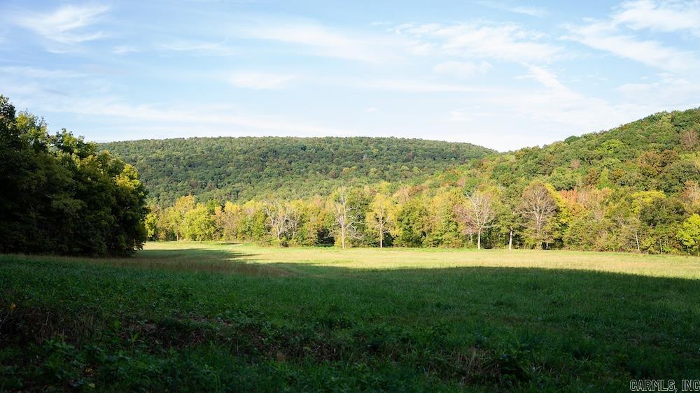 10642 Fancher Drive  Harrison, AR