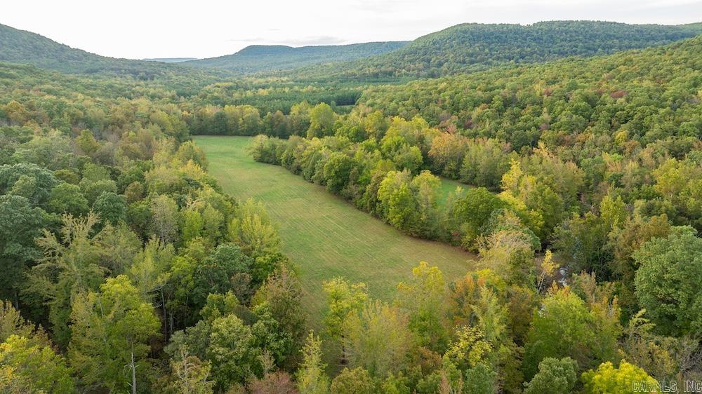 10642 Fancher Drive  Harrison, AR