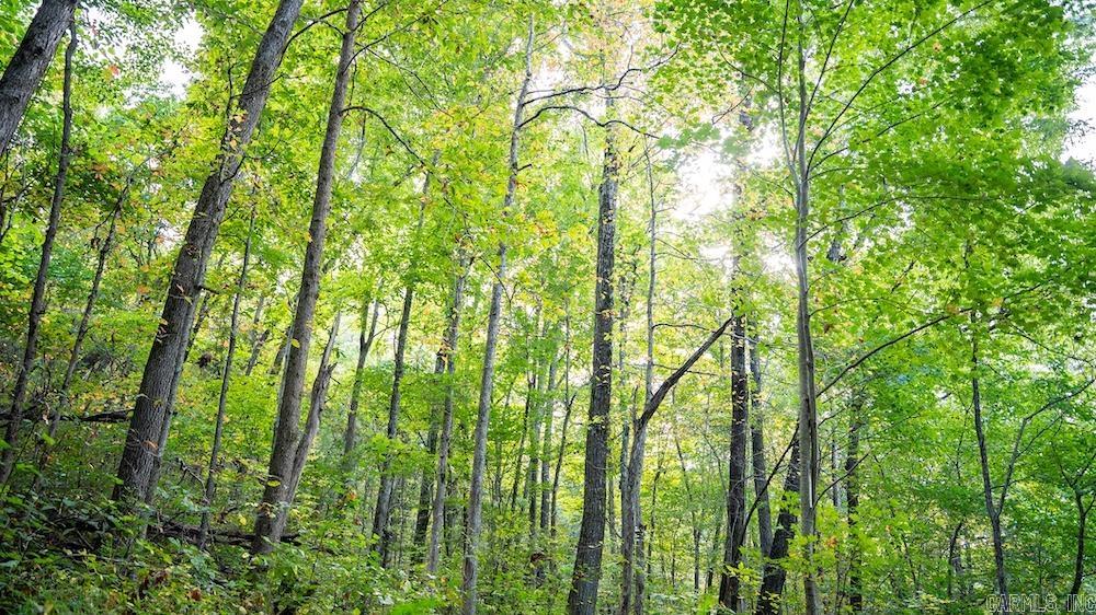 10642 Fancher Drive  Harrison, AR