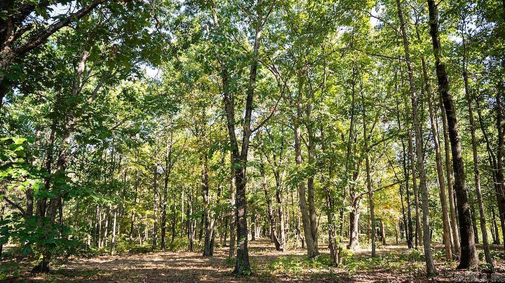 10642 Fancher Drive  Harrison, AR