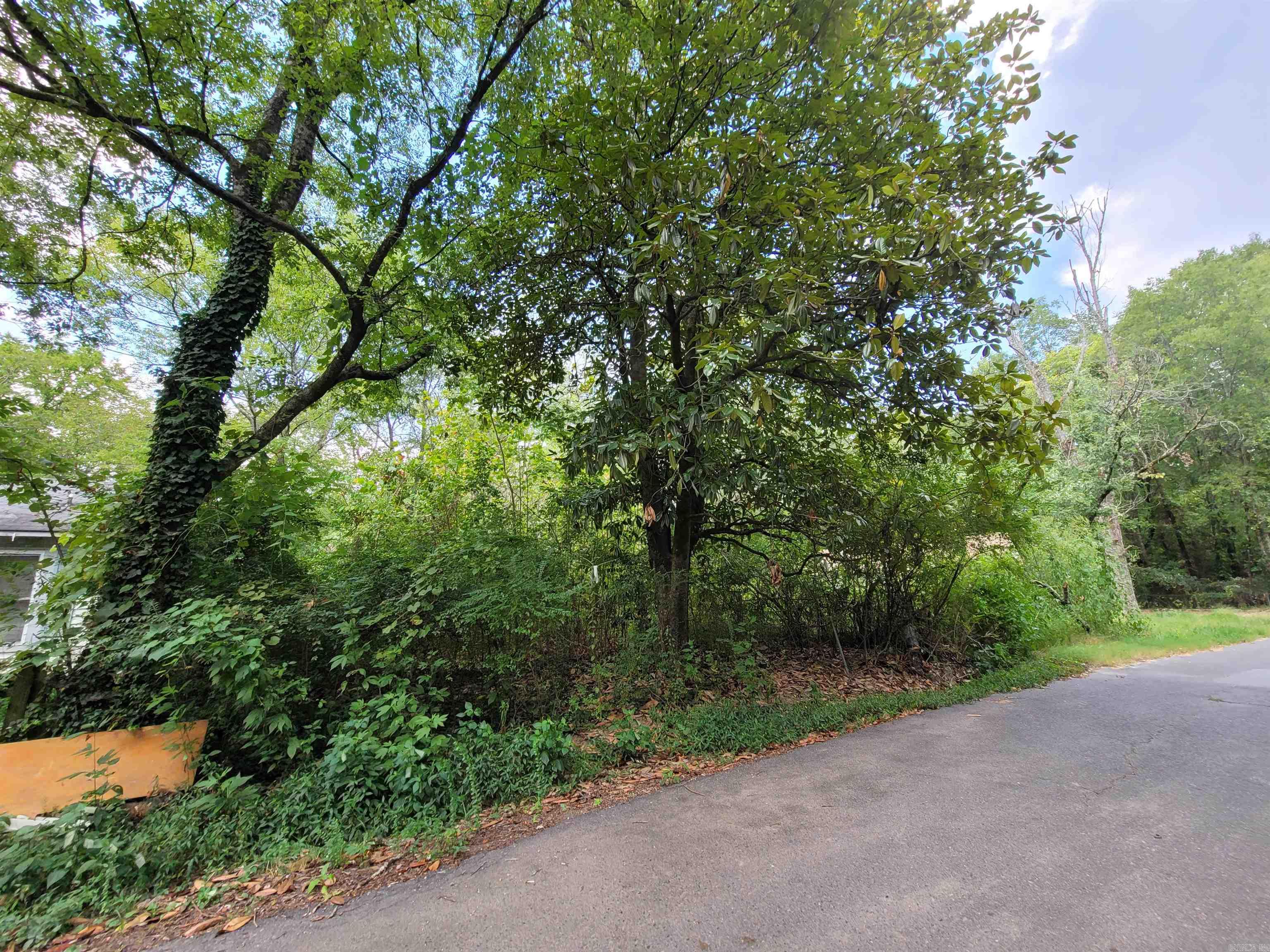 Xxx Patriot  Hot Springs, AR