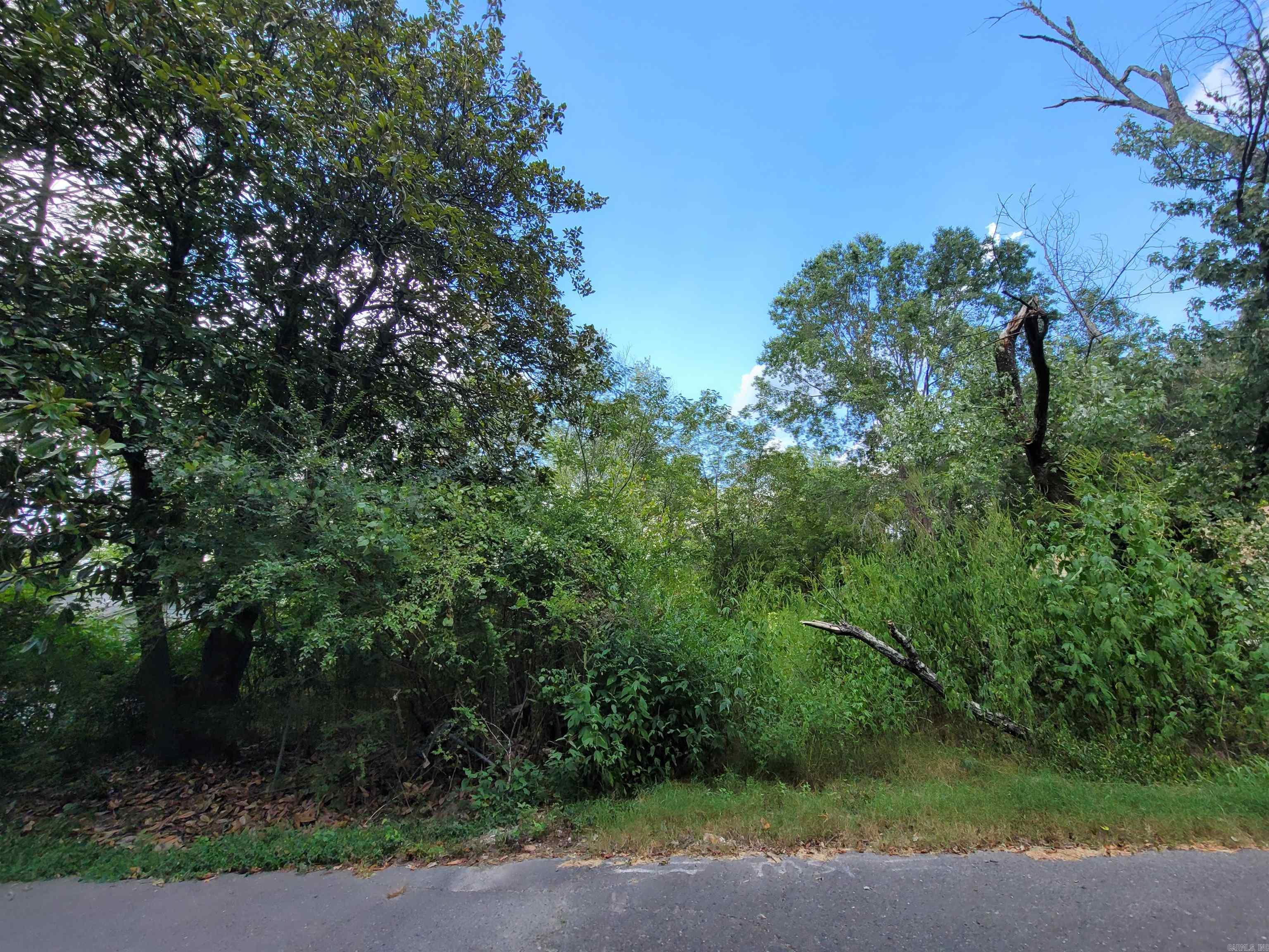 Xxx Patriot  Hot Springs, AR