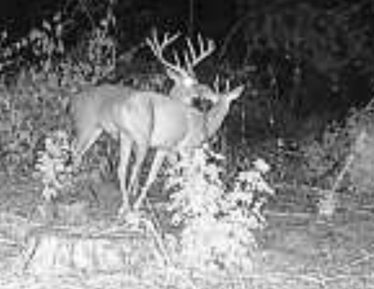 000 E 236 and 13  Lonoke, AR