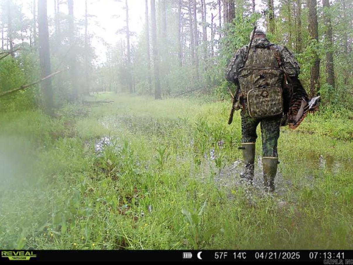 000 E 236 and 13  Lonoke, AR