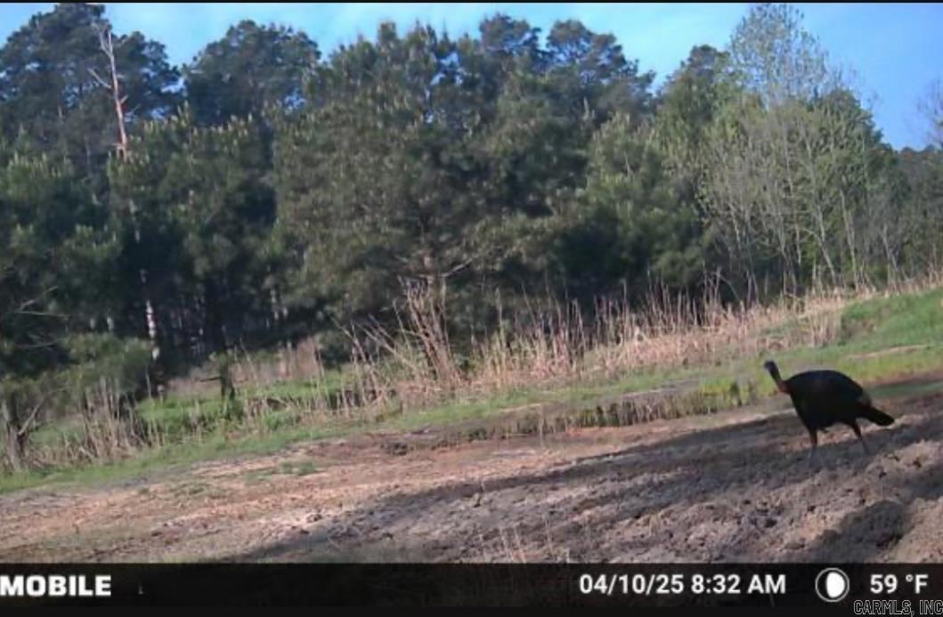 000 E 236 and 13  Lonoke, AR