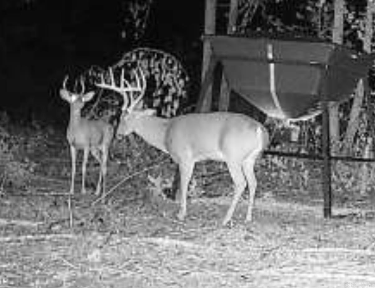 000 E 236 and 13  Lonoke, AR