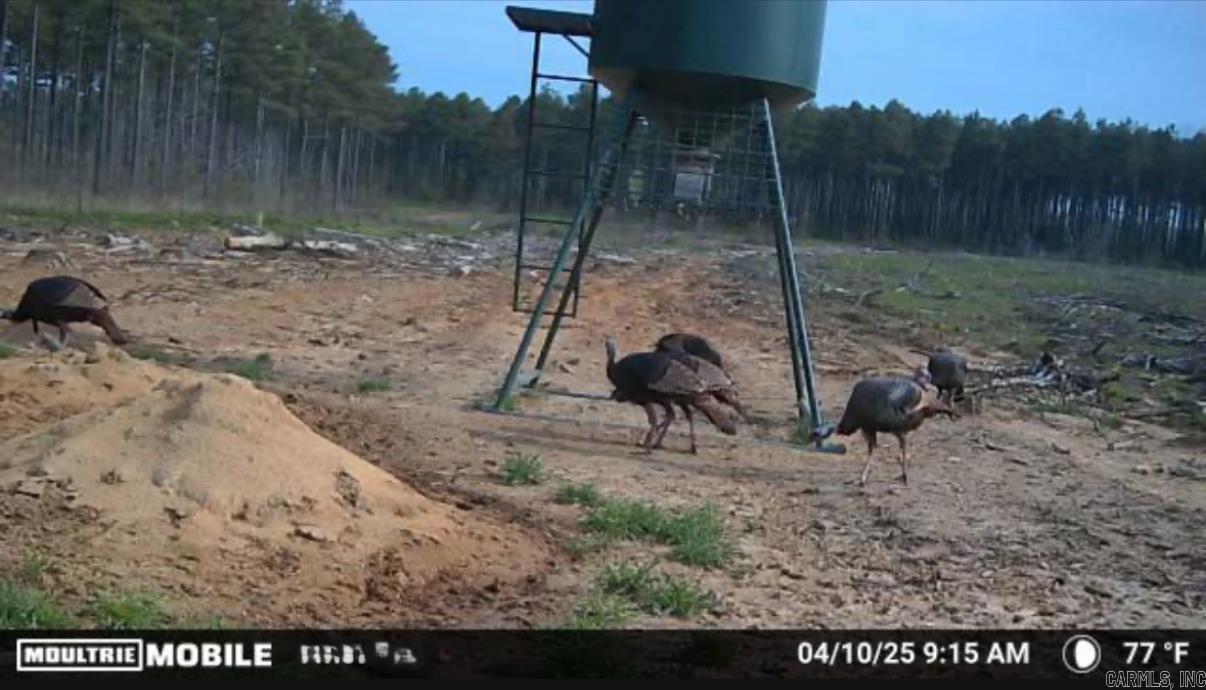 000 E 236 and 13  Lonoke, AR