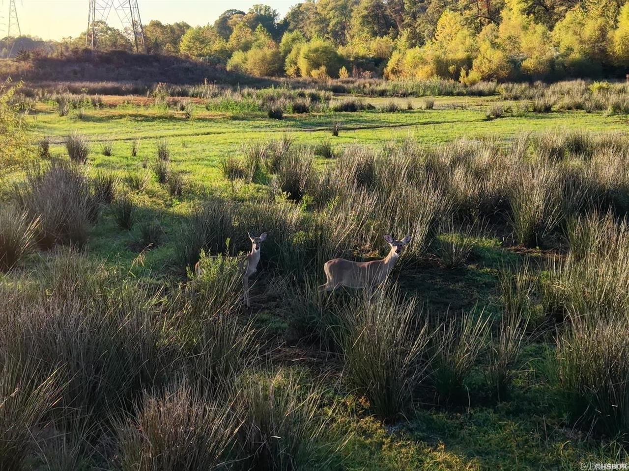 Hwy 270 Malvern  Malvern, AR