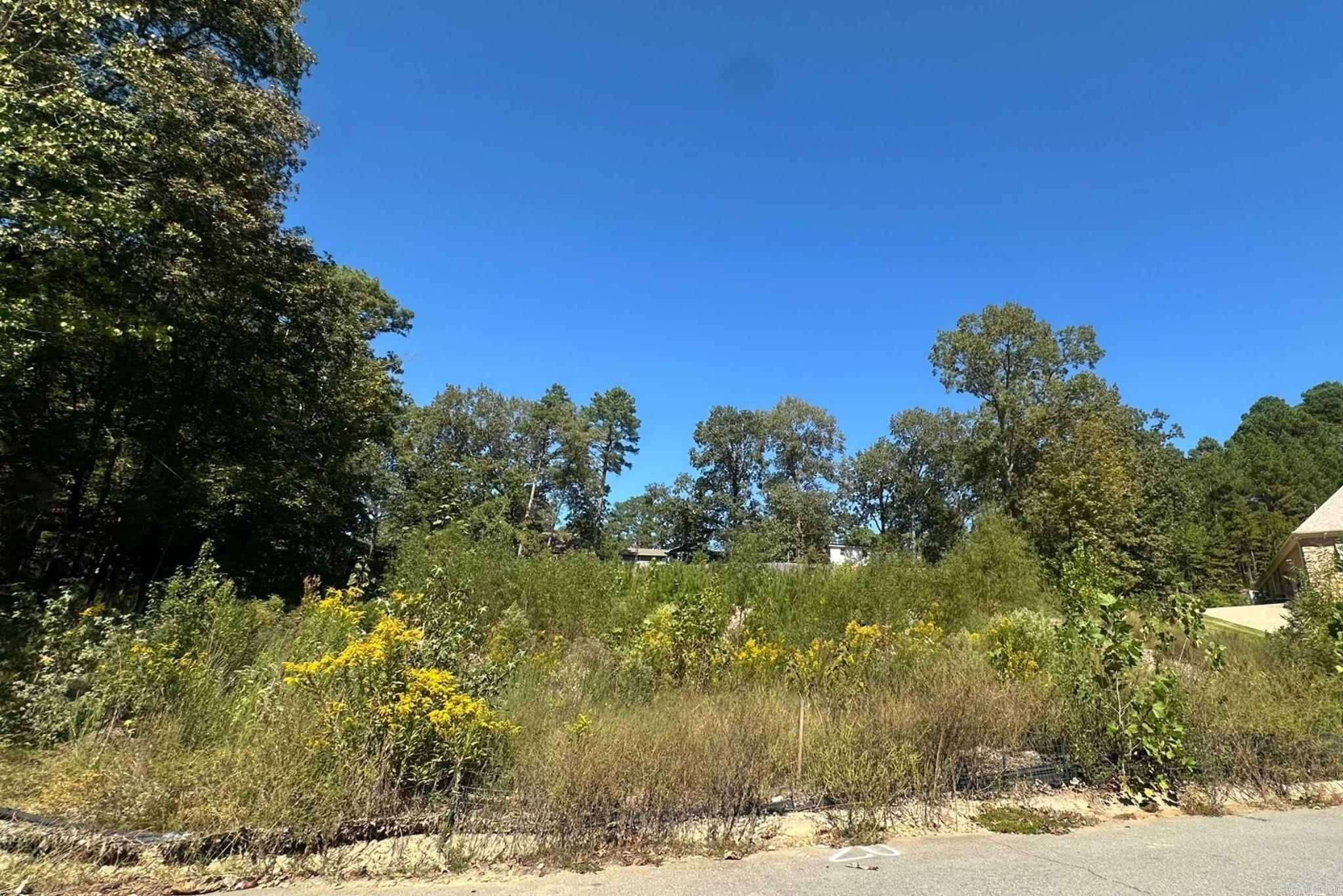 20 Hunters Woods  Little Rock, AR