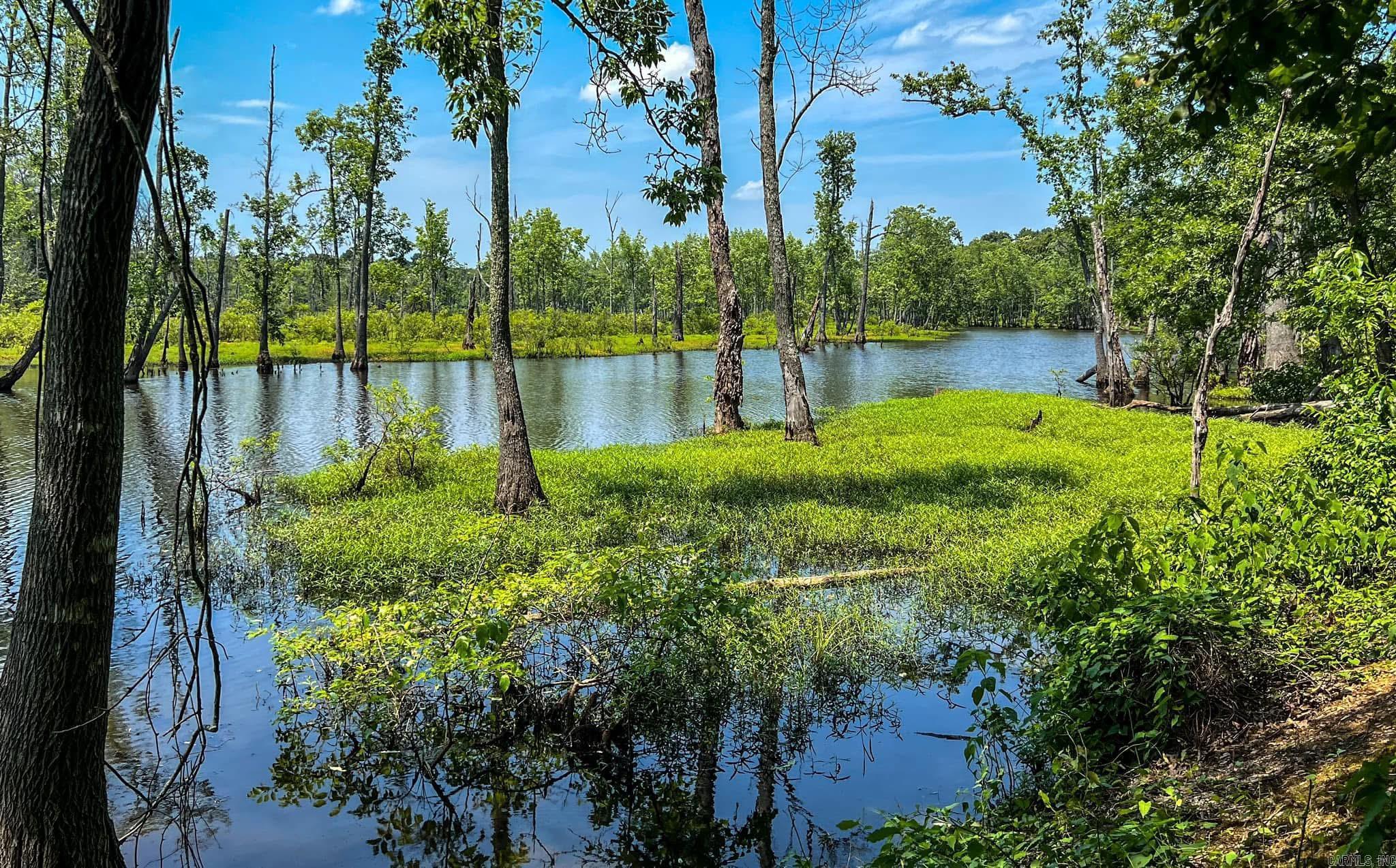 303 Devoe Bend  Maumelle, AR