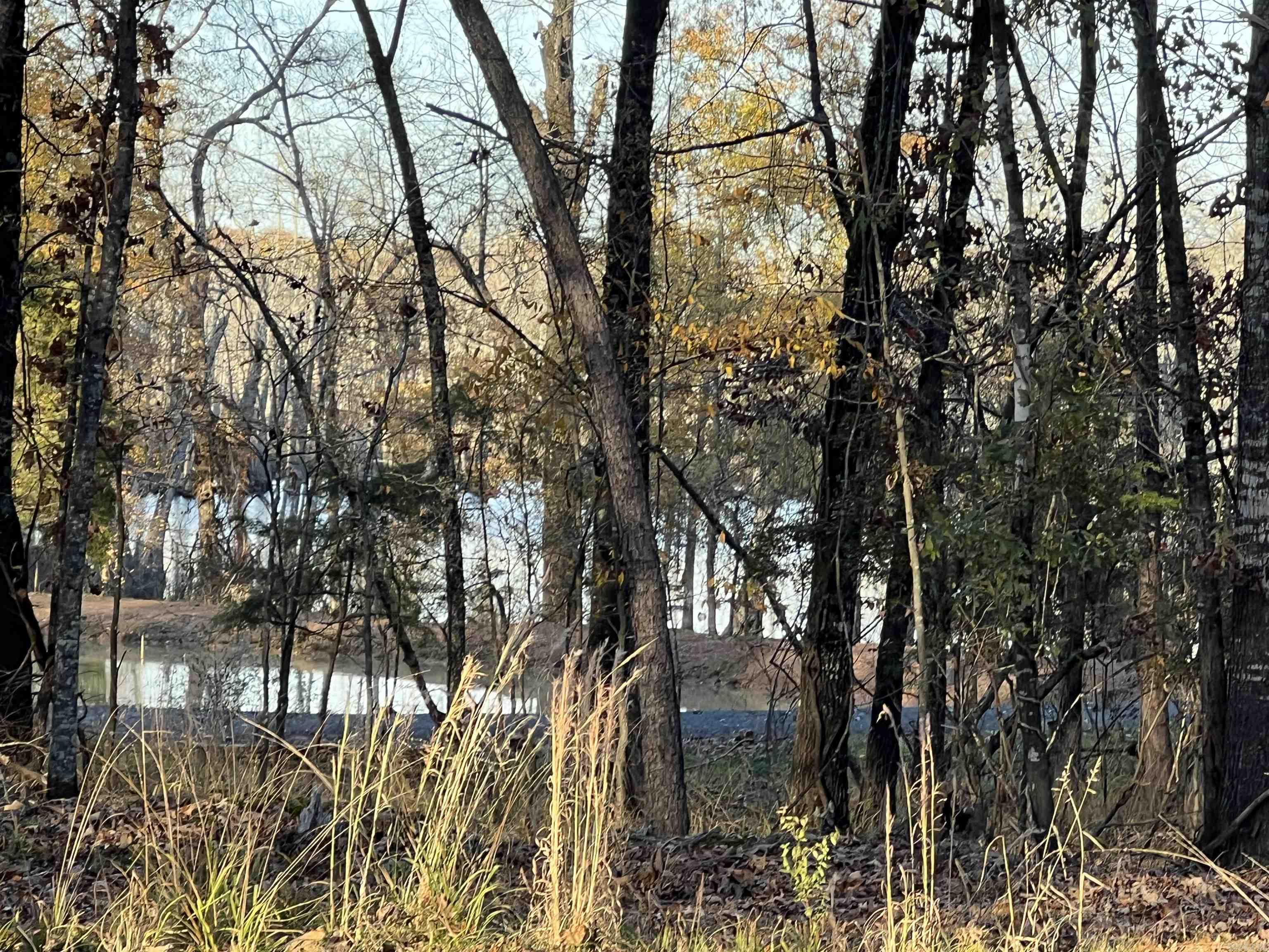 303 Devoe Bend  Maumelle, AR