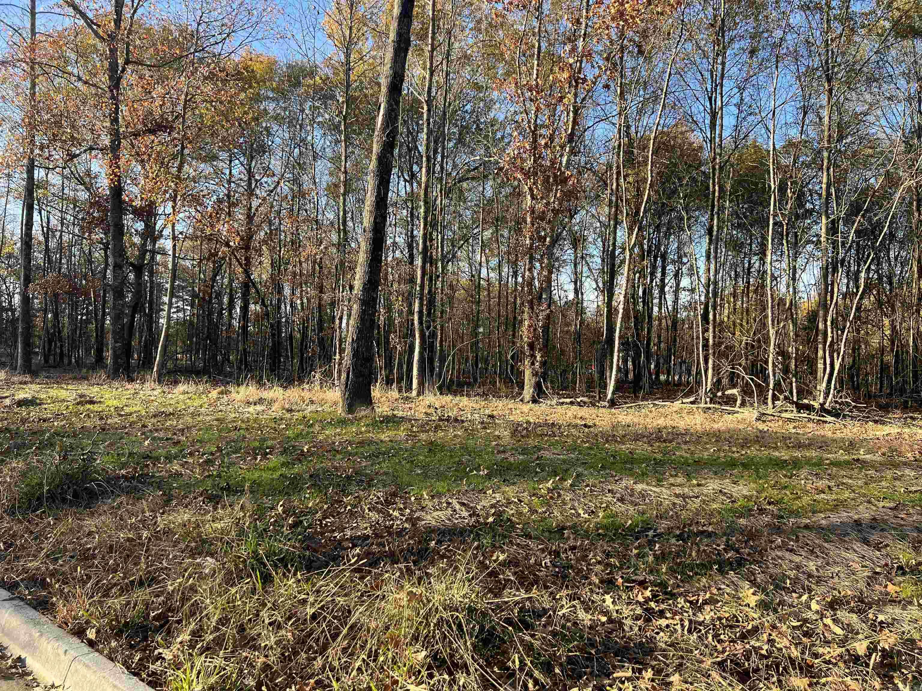 303 Devoe Bend  Maumelle, AR