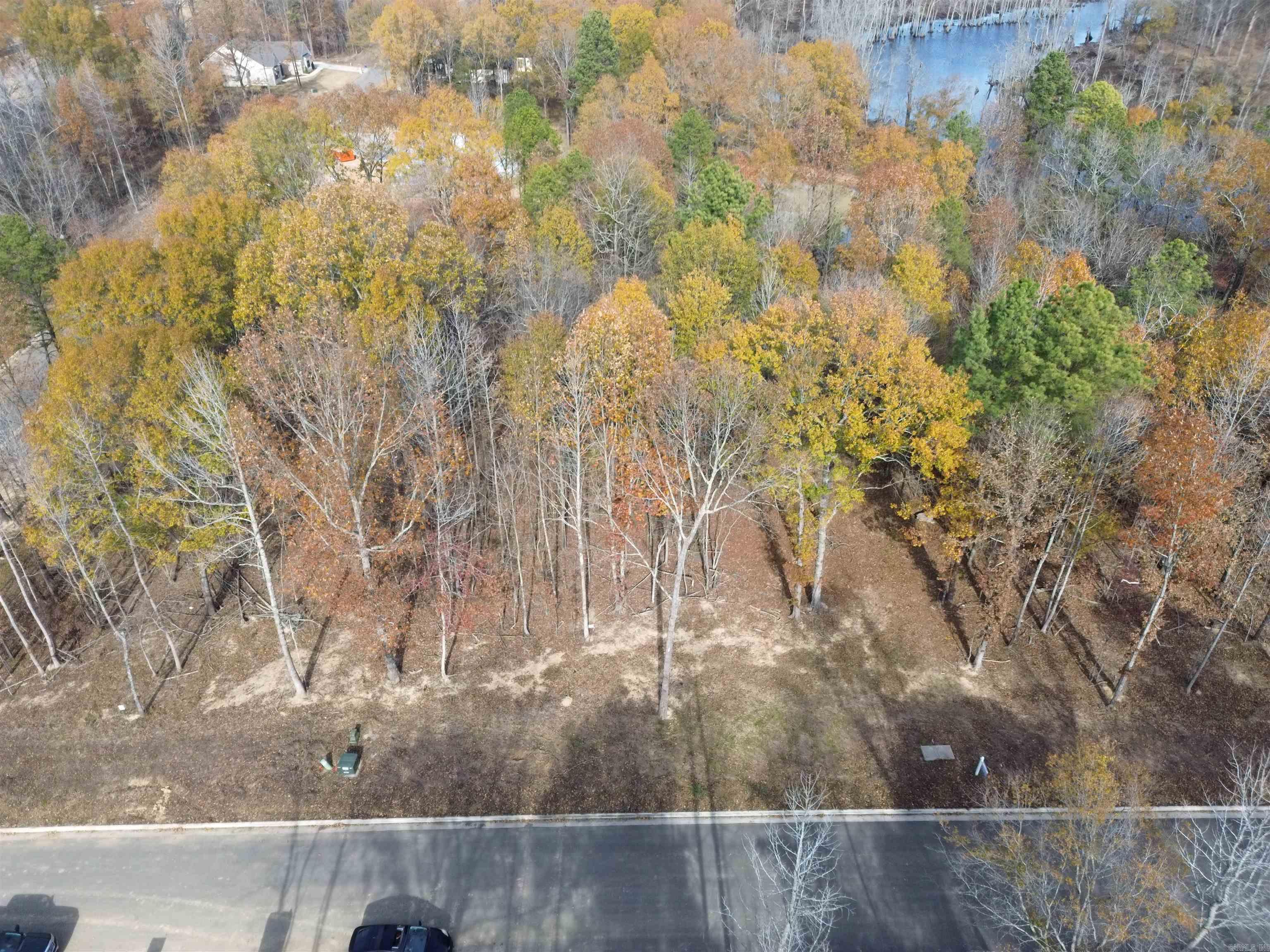 303 Devoe Bend  Maumelle, AR