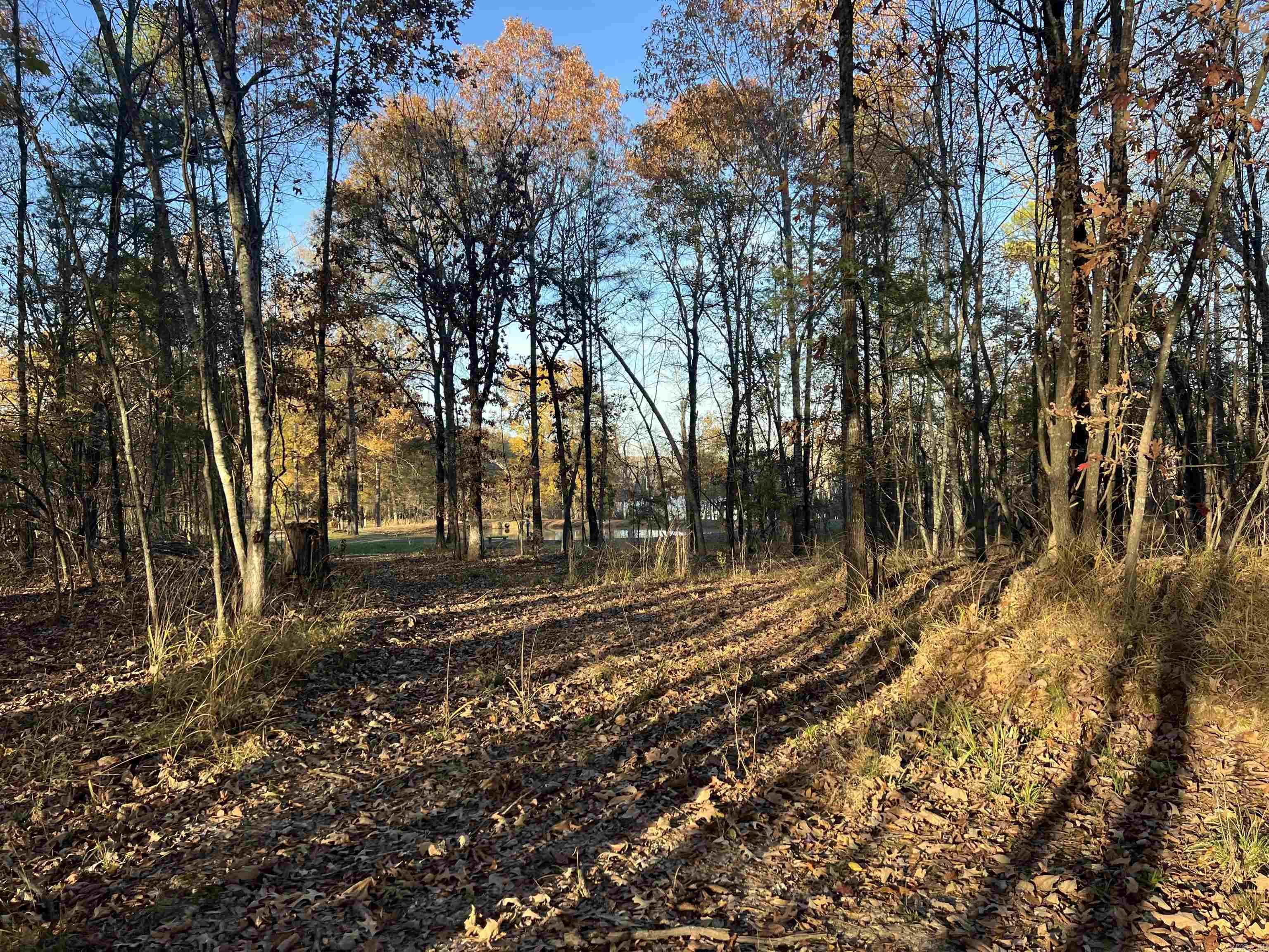 303 Devoe Bend  Maumelle, AR