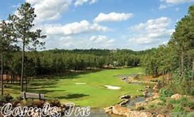 16 Arias Way Hot Springs Village, AR 71909