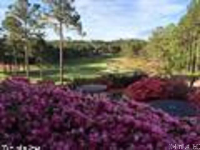 16 Arias Way Hot Springs Village, AR 71909