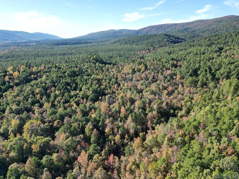 Unk Polk Road 90  Mena, AR