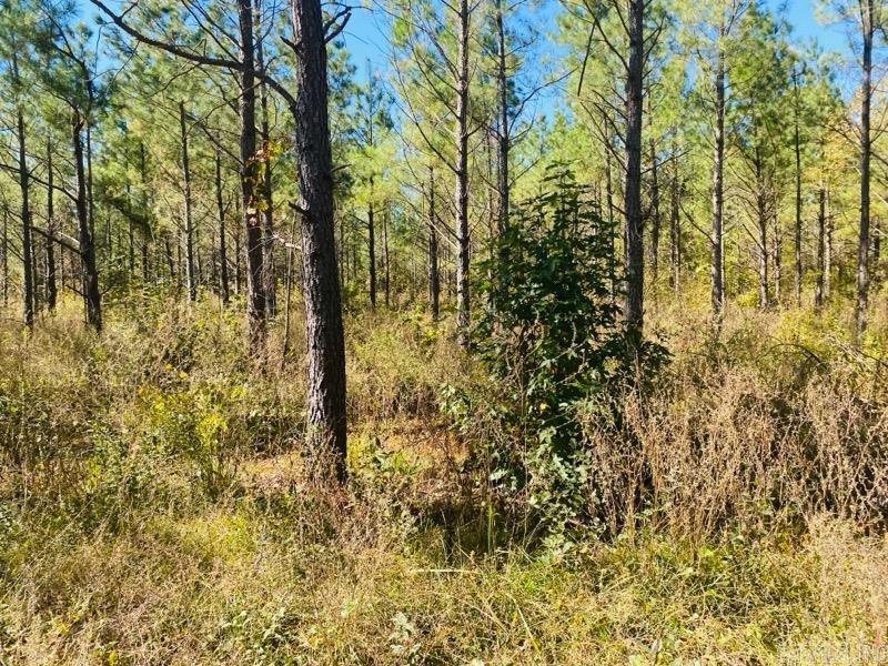 Unk Polk Road 90  Mena, AR