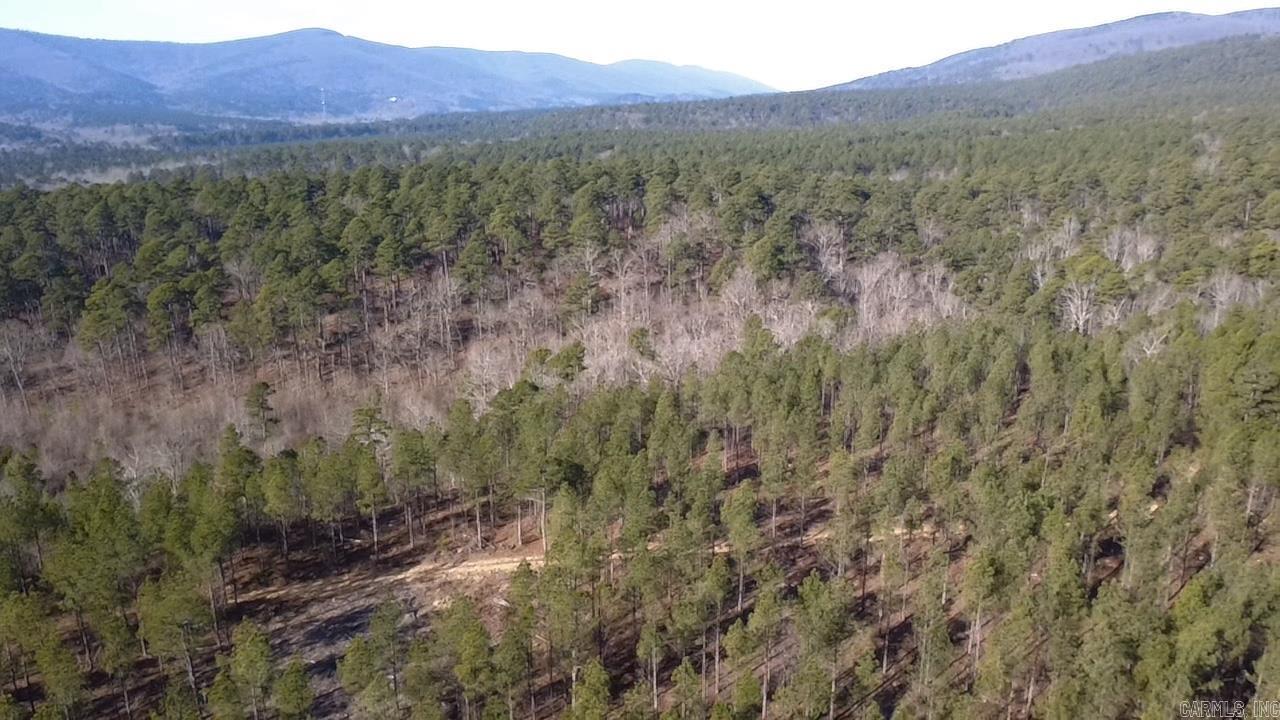 Unk Polk Road 90  Mena, AR