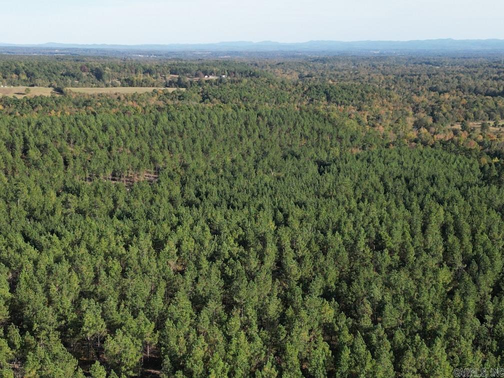 Unk Polk Road 90  Mena, AR