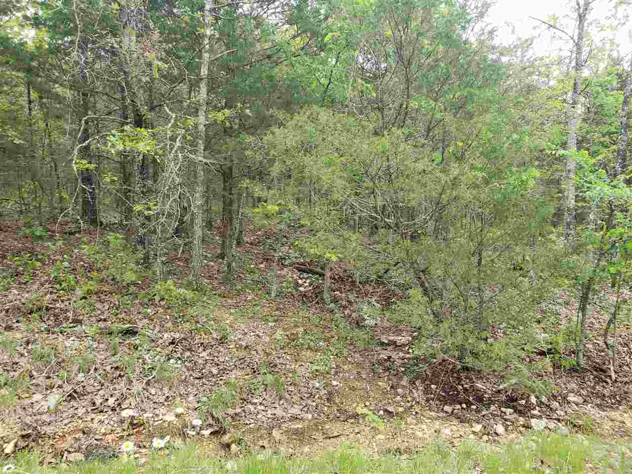 L-9 B-10 Pahokee  Cherokee Village, AR