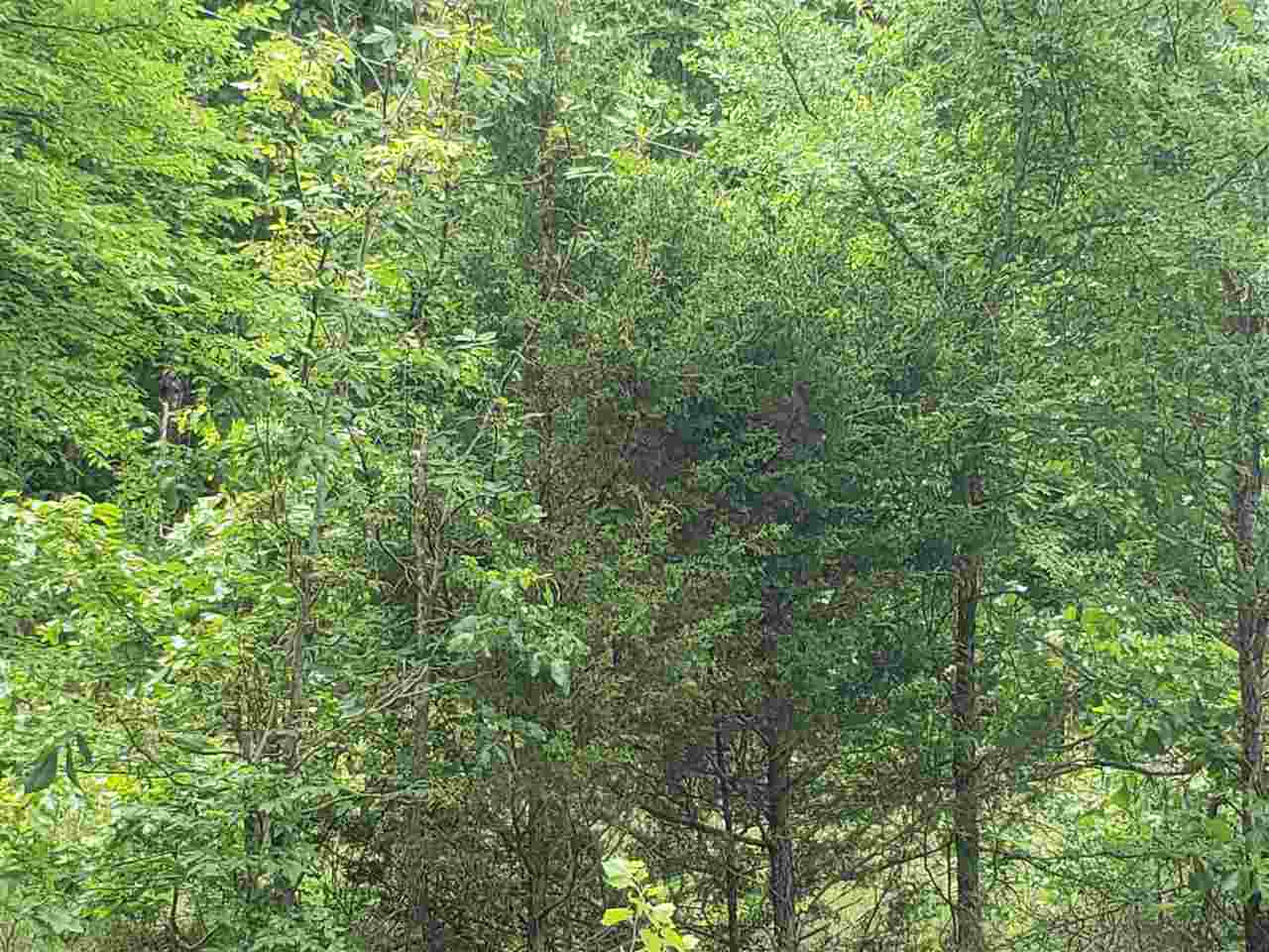 L-21 B-9 Lochloosa  Cherokee Village, AR