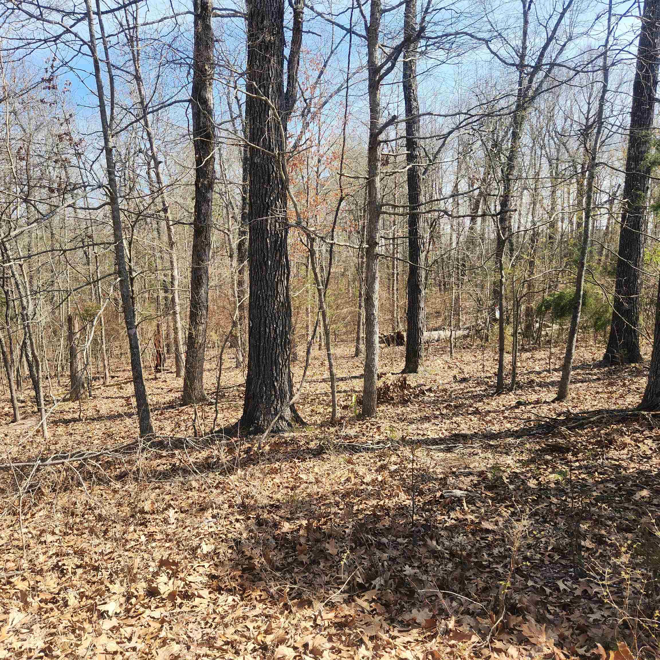 L-7, B-29 Miccosukee  Cherokee Village, AR