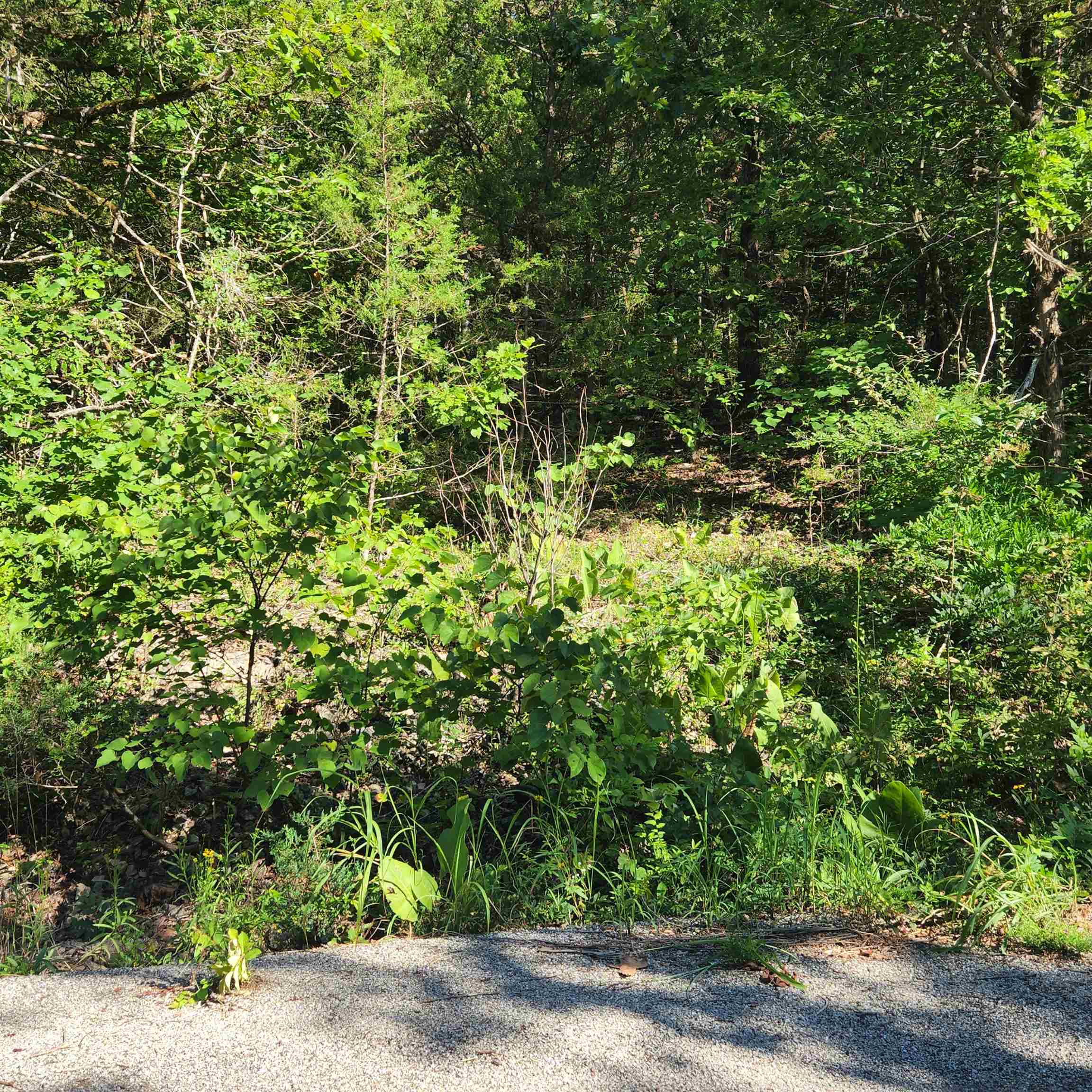 L-12 B-8 Choctaw  Cherokee Village, AR