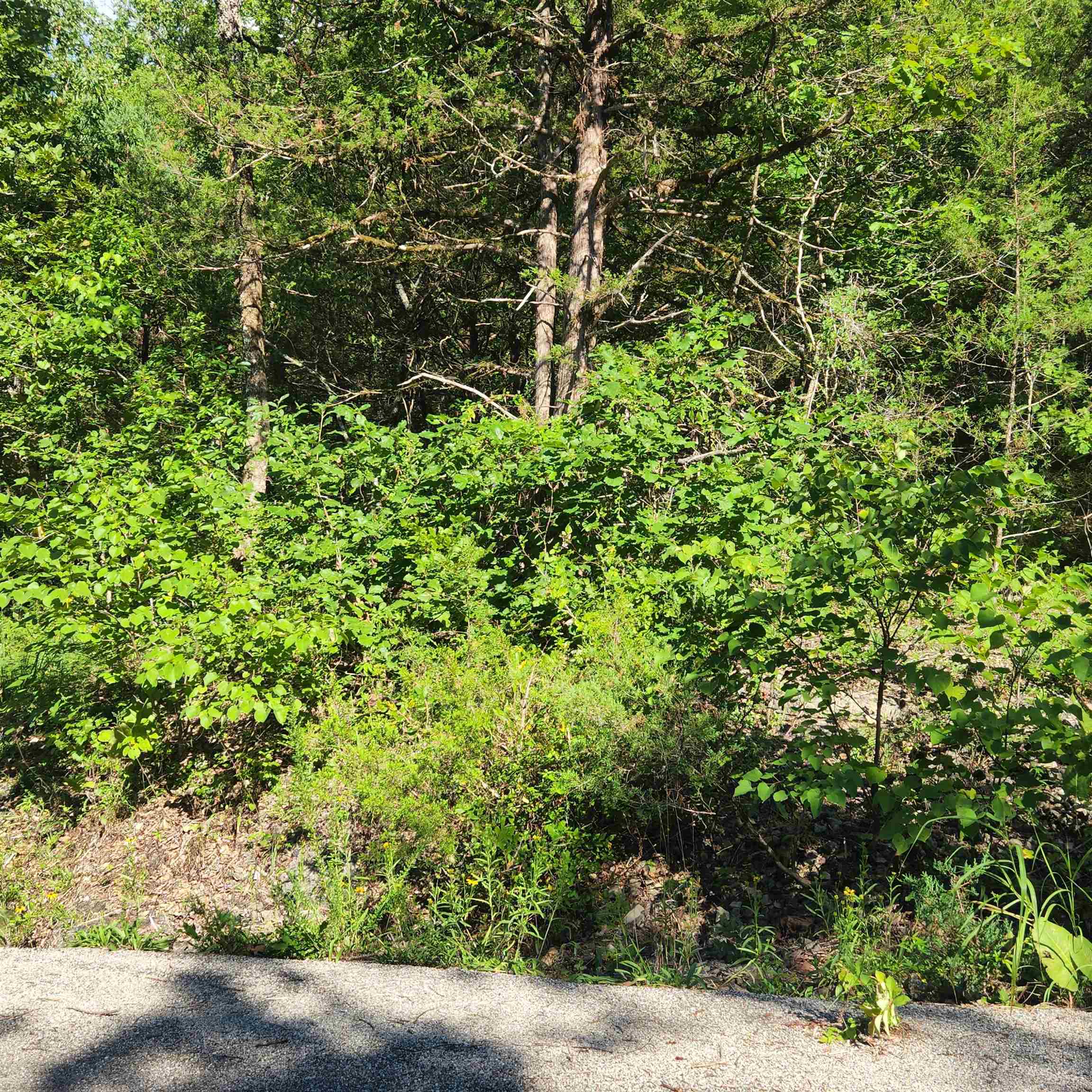 L-12 B-8 Choctaw  Cherokee Village, AR