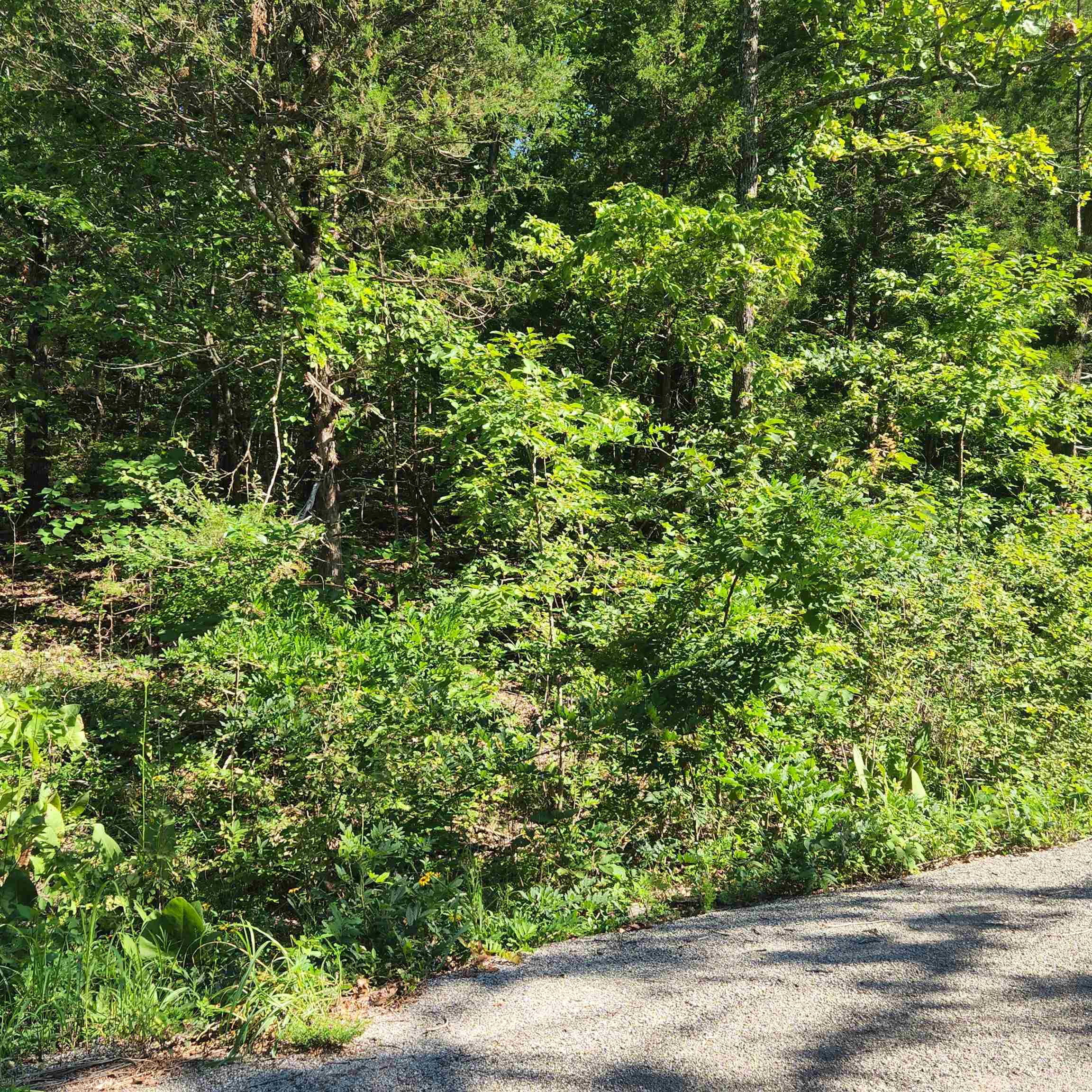 L-12 B-8 Choctaw  Cherokee Village, AR