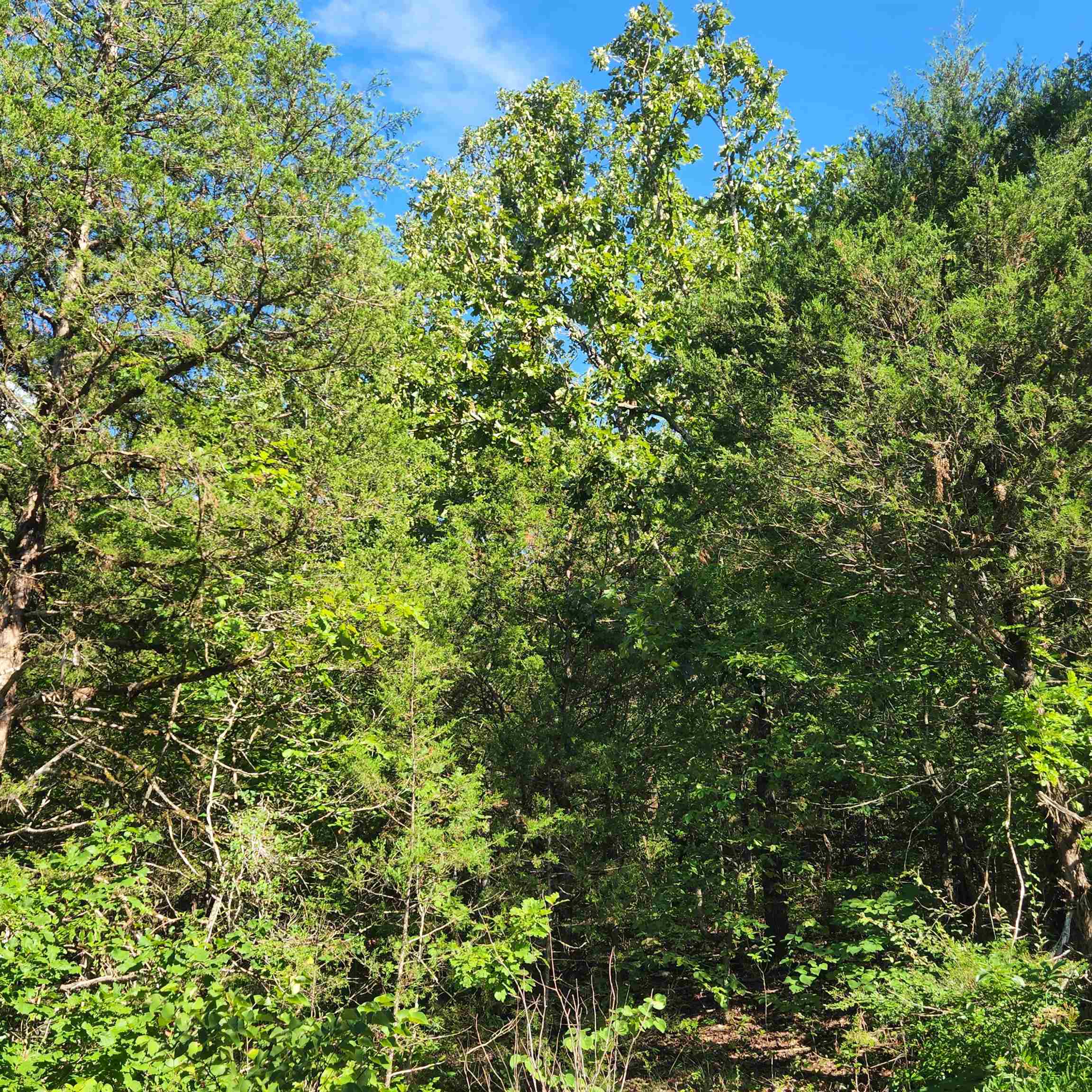 L-12 B-8 Choctaw  Cherokee Village, AR