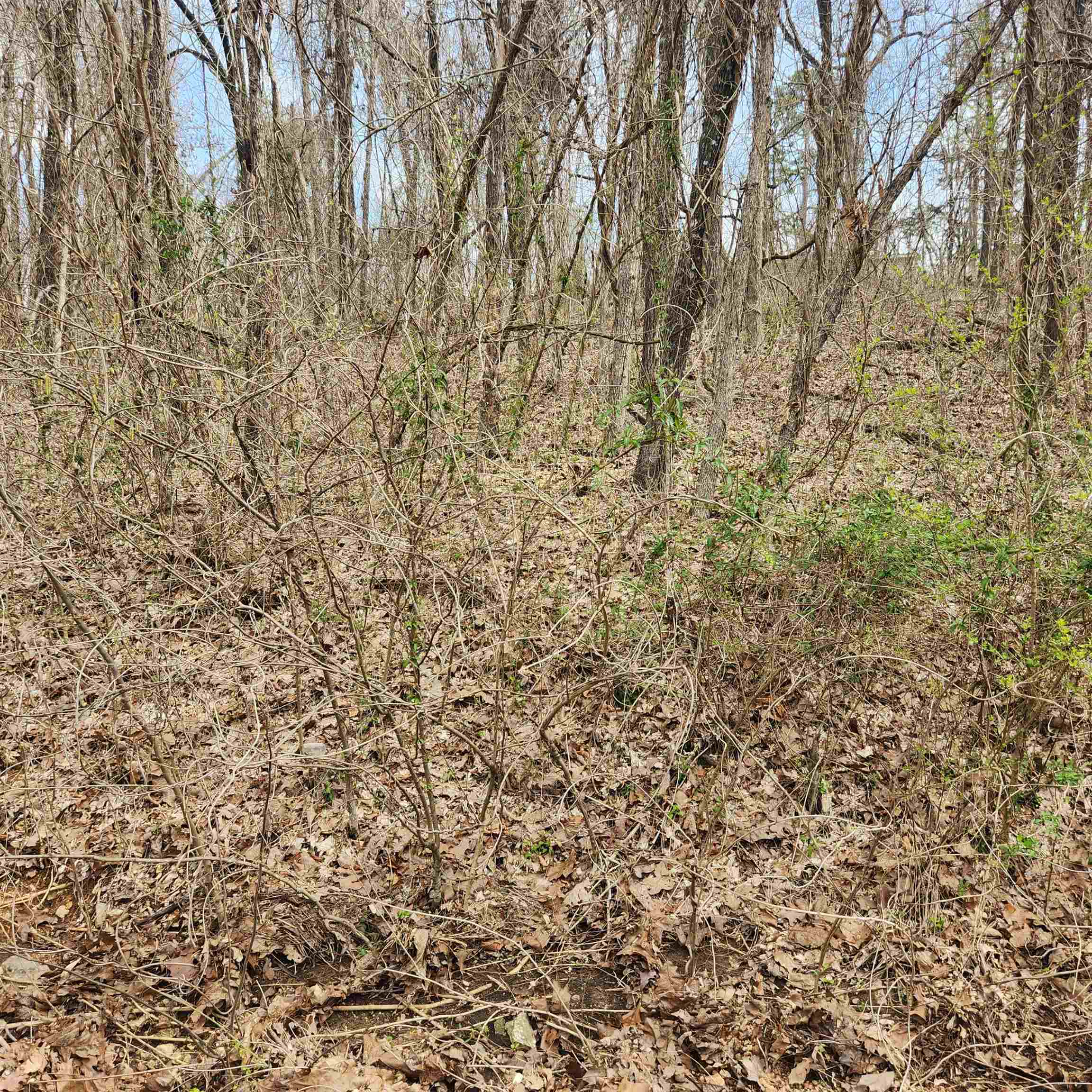 L-15, B-9 Choctaw  Cherokee Village, AR