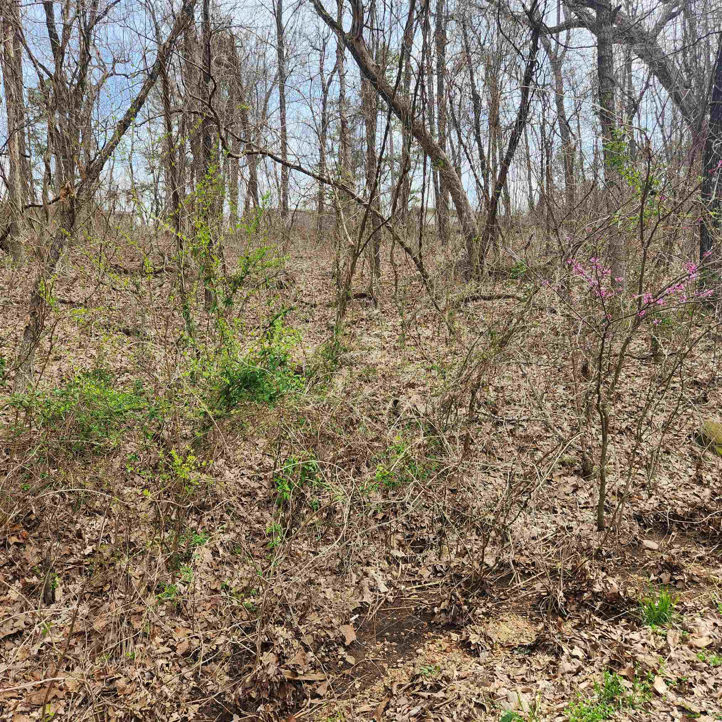 L-15, B-9 Choctaw  Cherokee Village, AR