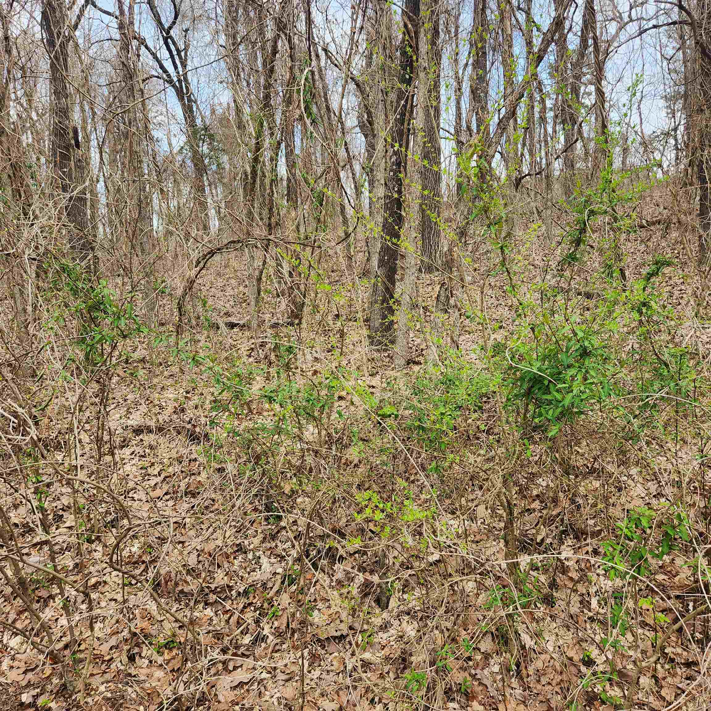 L-15, B-9 Choctaw  Cherokee Village, AR