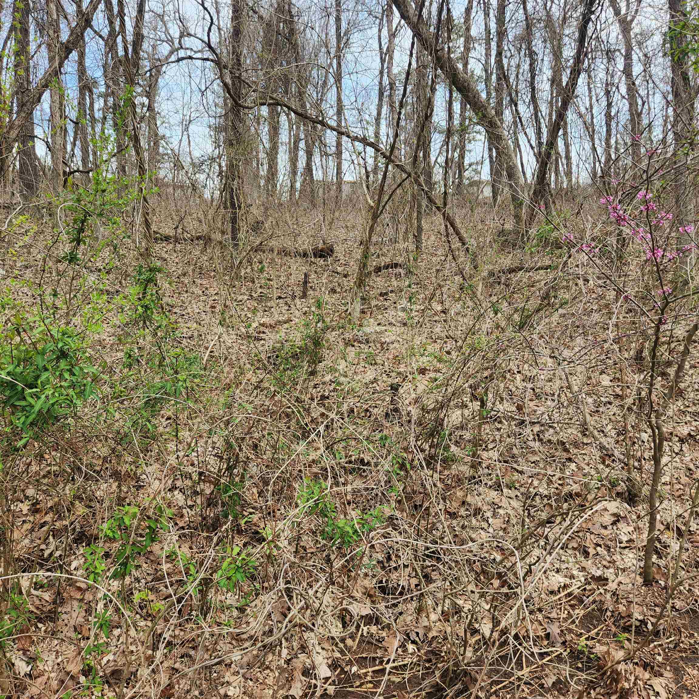 L-15, B-9 Choctaw  Cherokee Village, AR