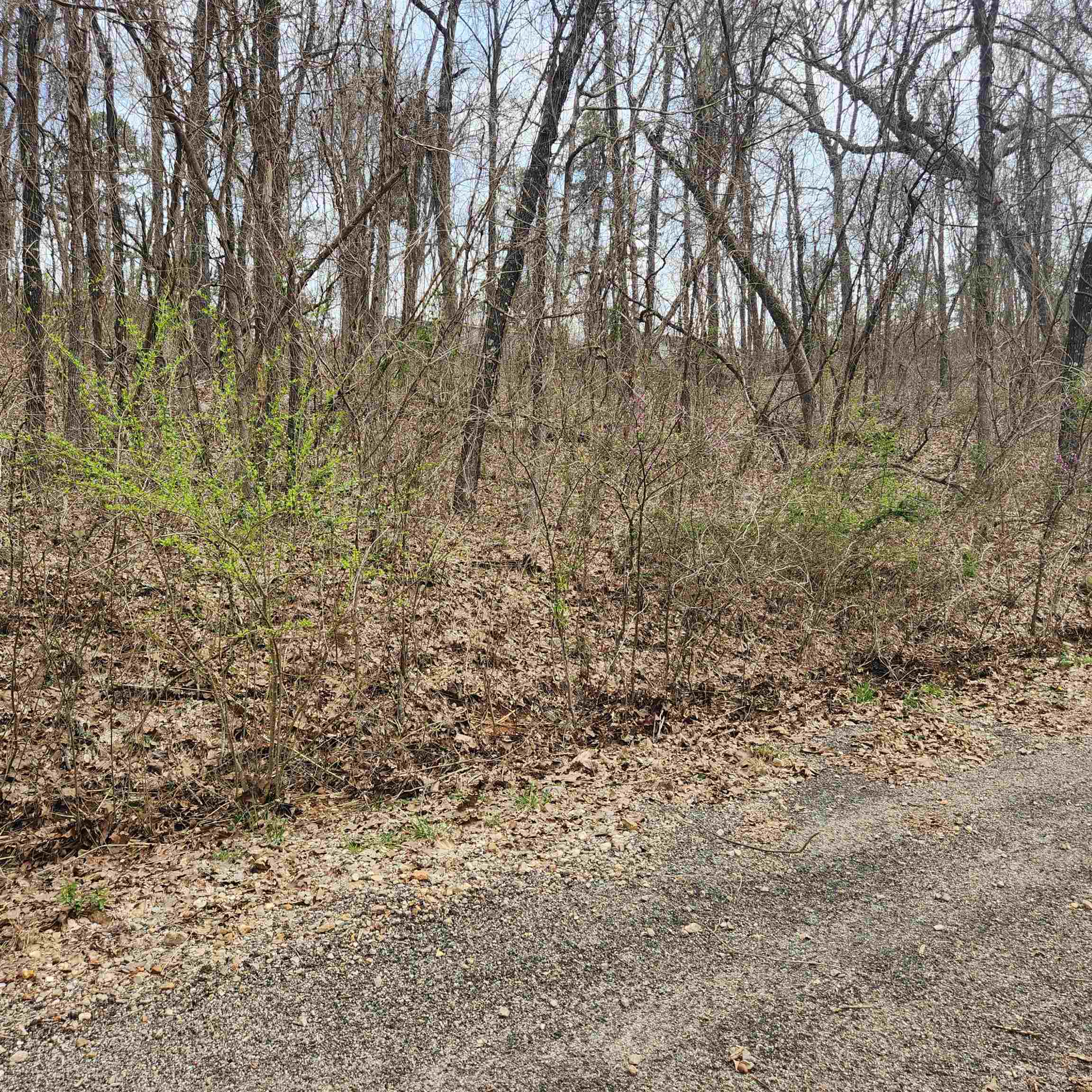 L-15, B-9 Choctaw  Cherokee Village, AR