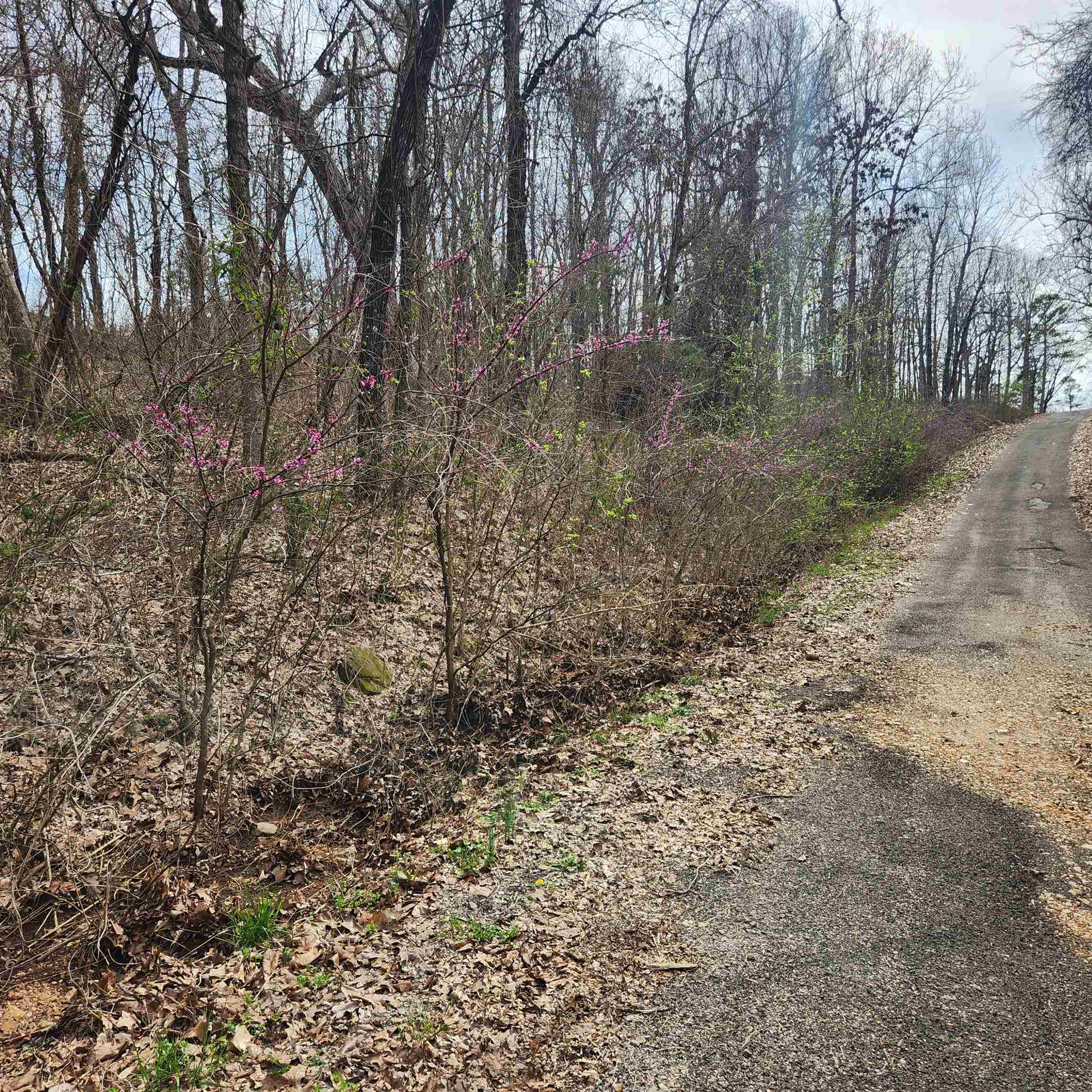 L-15, B-9 Choctaw  Cherokee Village, AR