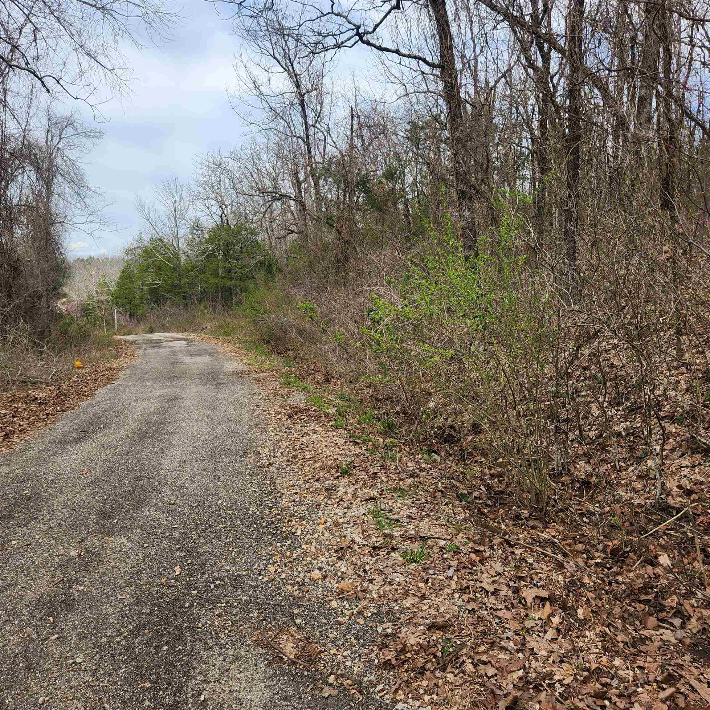 L-15, B-9 Choctaw  Cherokee Village, AR