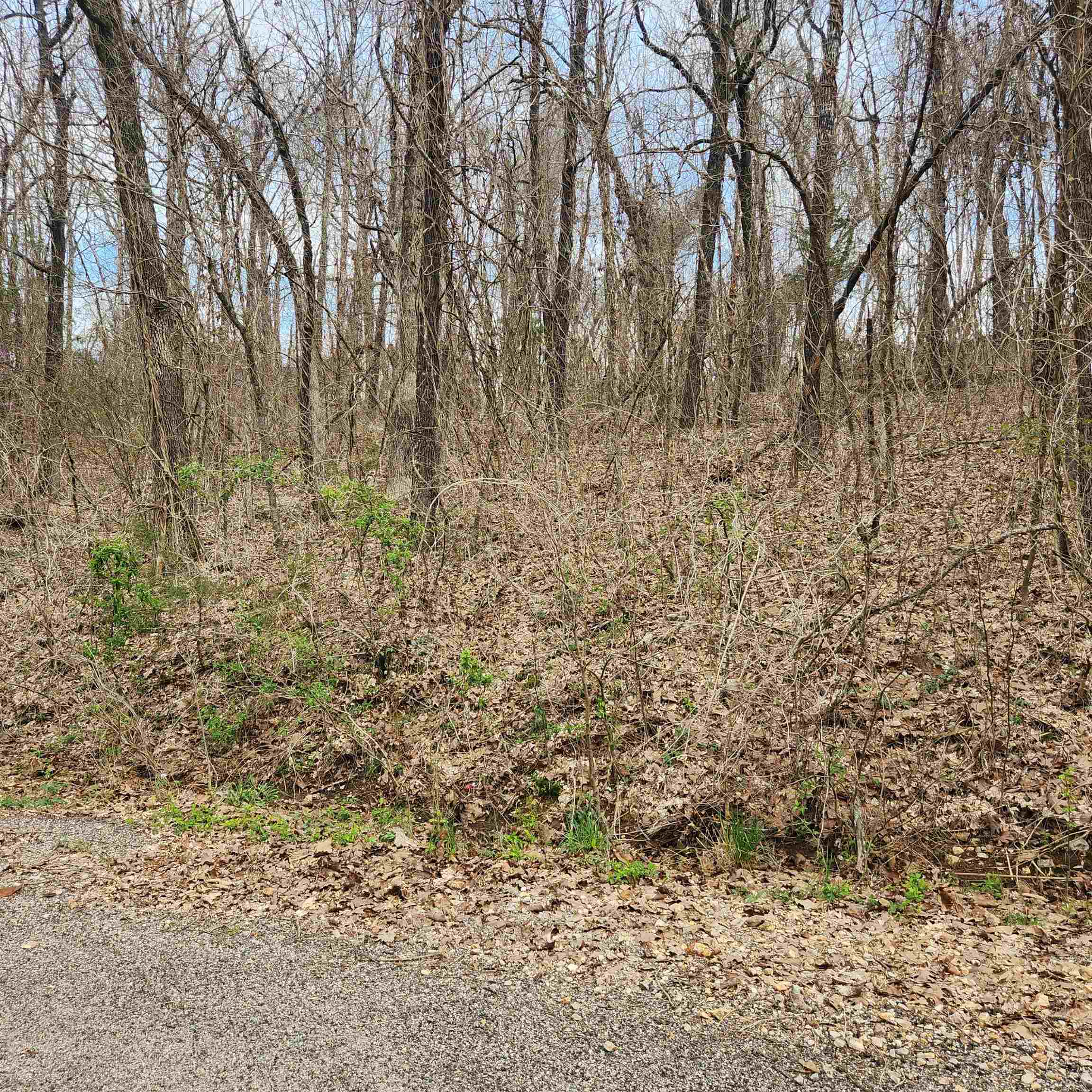 L-15, B-9 Choctaw  Cherokee Village, AR