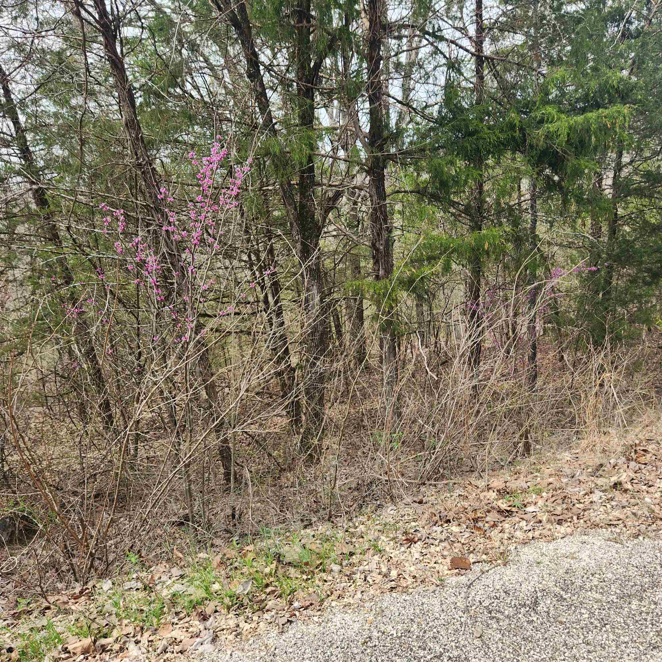 L-8, B-11 Choctaw  Cherokee Village, AR