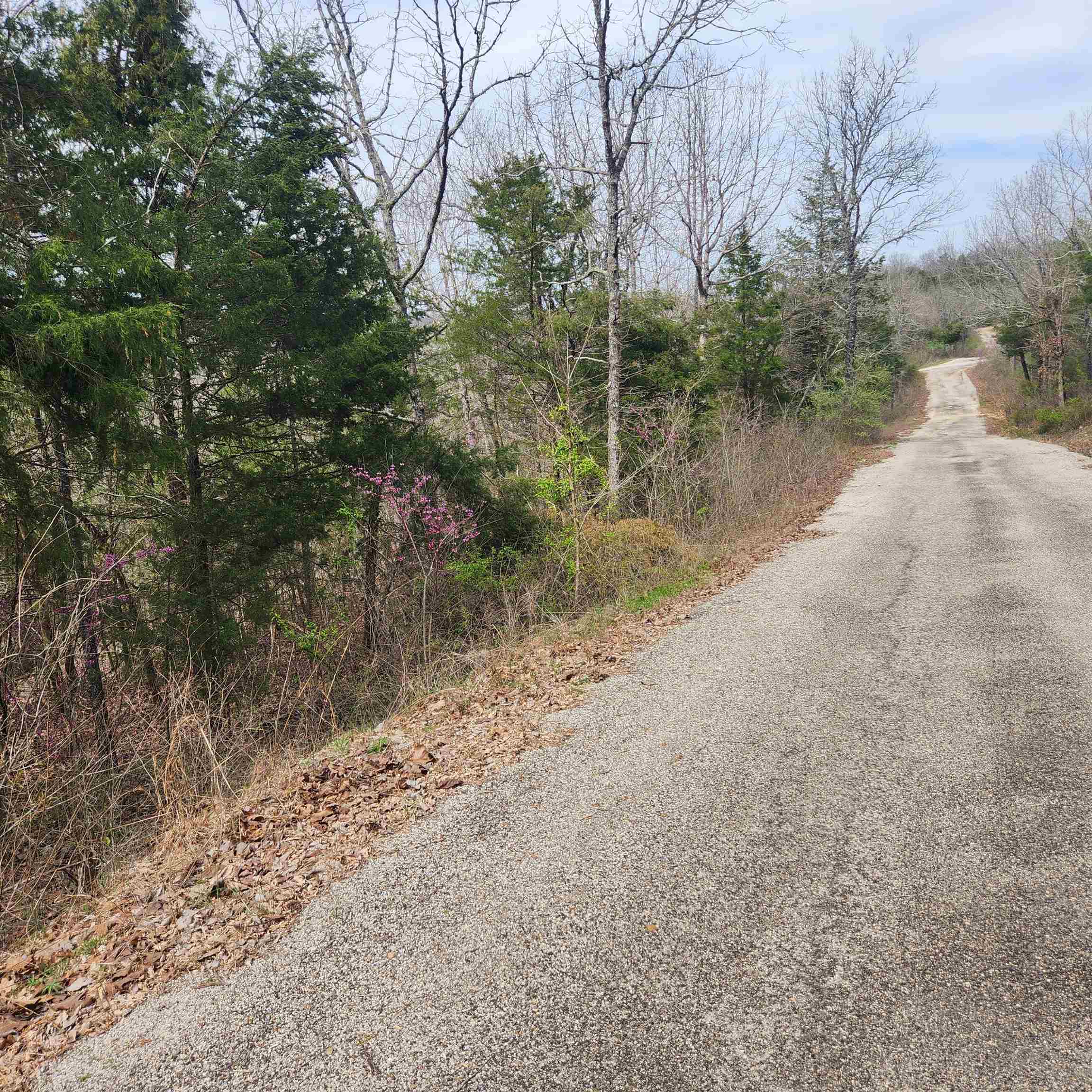 L-8, B-11 Choctaw  Cherokee Village, AR