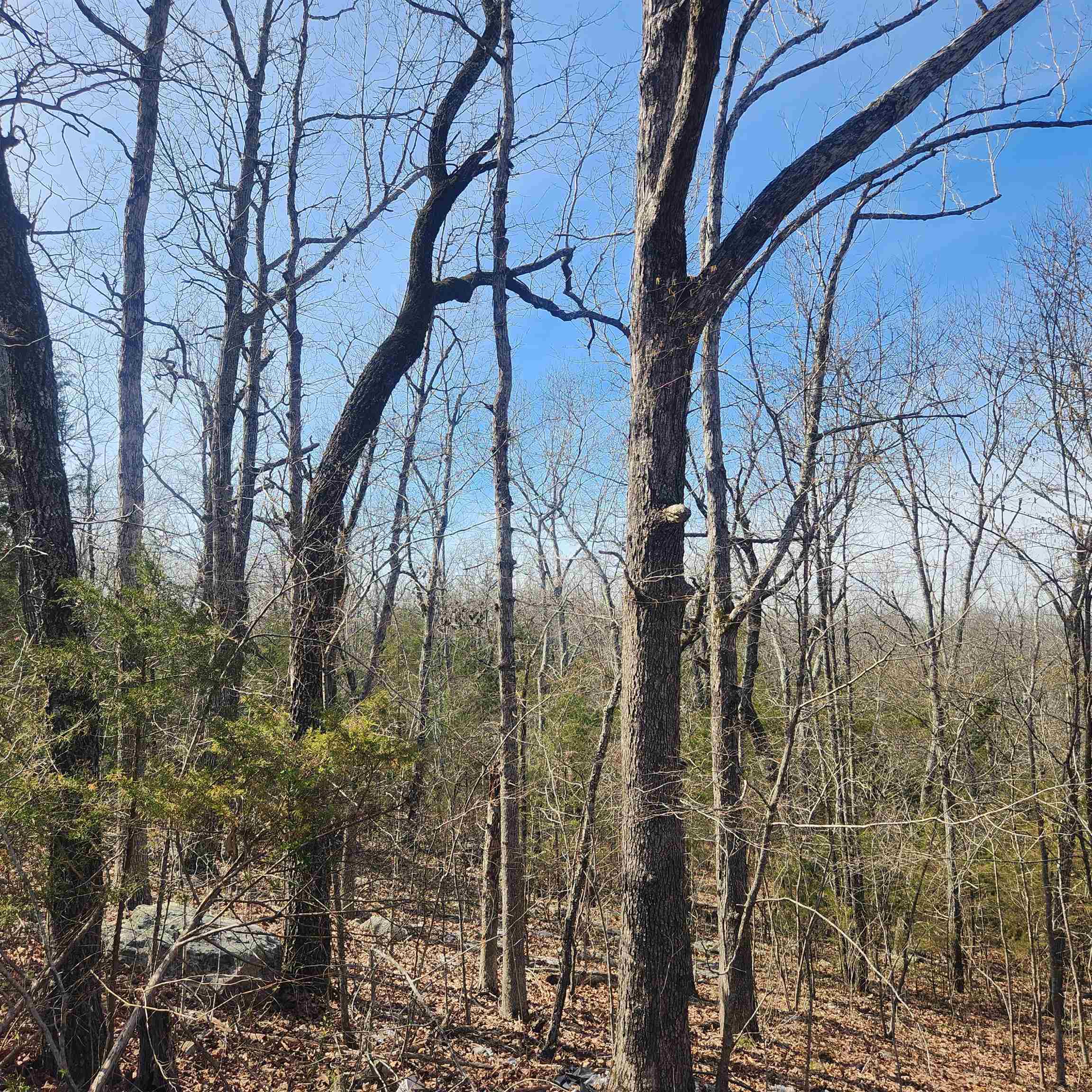 L-43, B-4 Warclub  Cherokee Village, AR