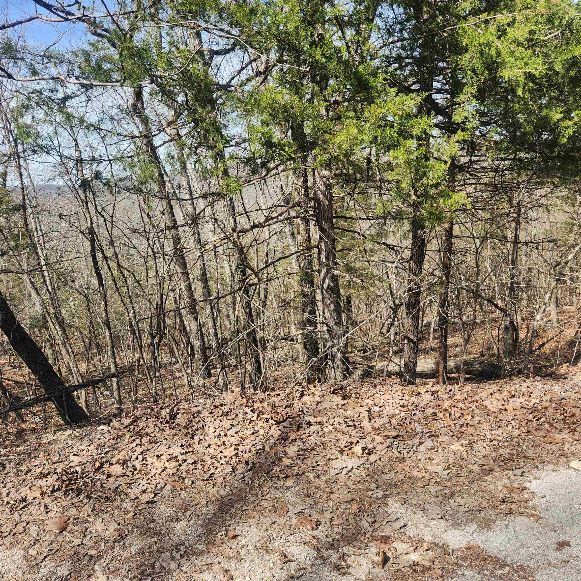 L-43, B-4 Warclub  Cherokee Village, AR